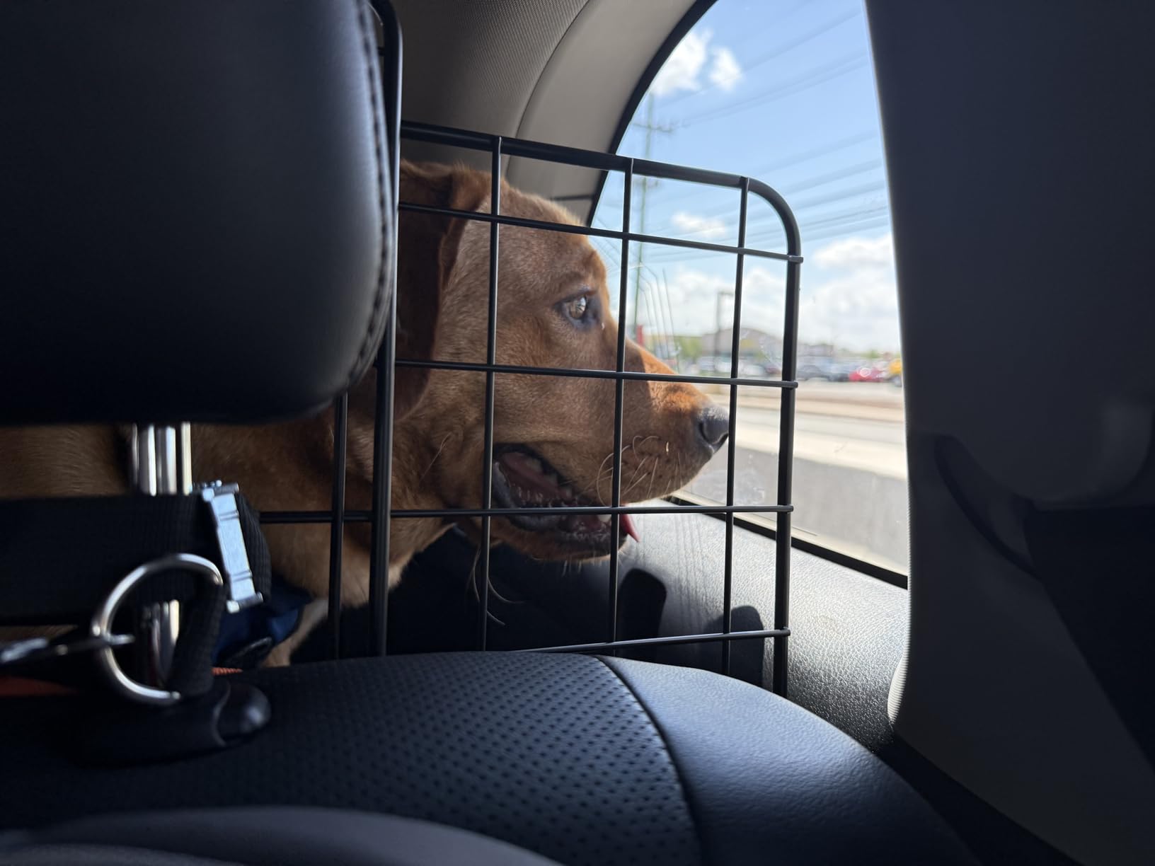 Dog Car Barrier for SUVs, Van, Vehicles, Adjustable Large Pet Barriers, Universal Fit Heavy-Duty Wire Mesh Dog Guard, Foldable Safety Car Divider Gate for Truck Cargo Area customer photo 2