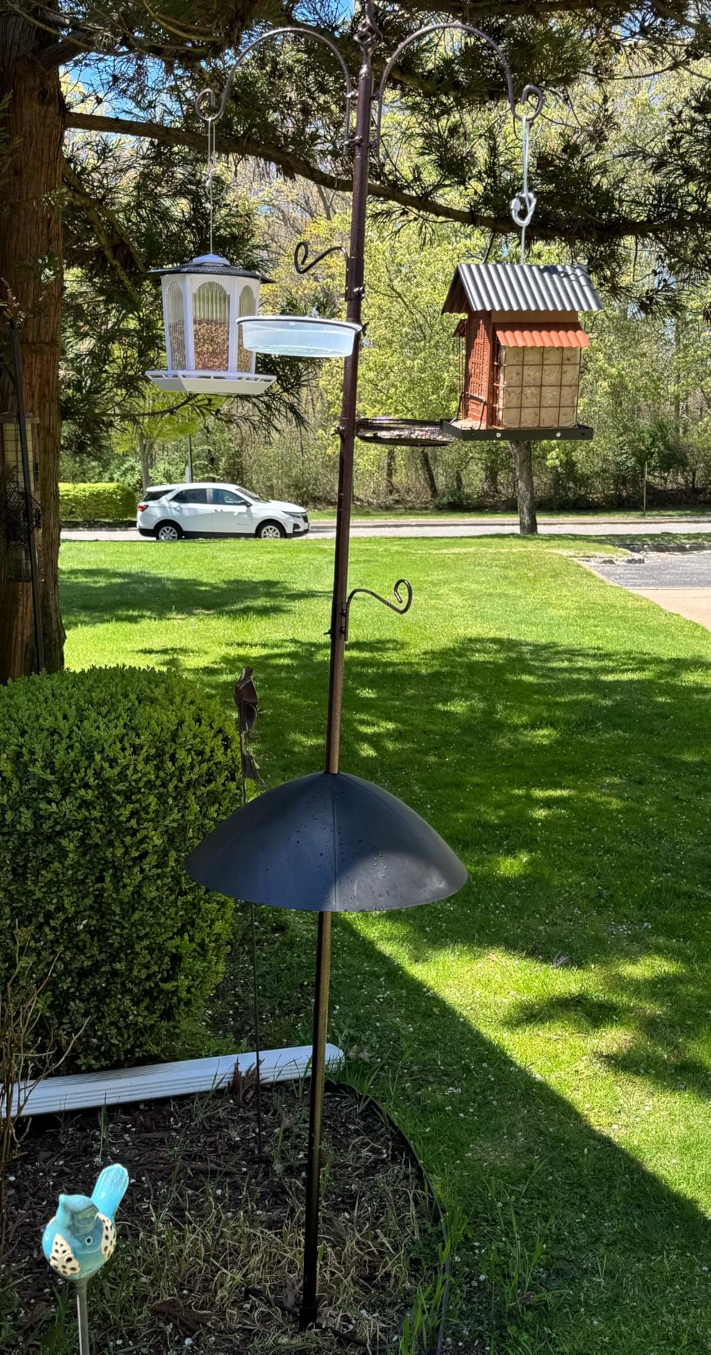 Backyard Expressions Bird Feeding Station Kit - 75