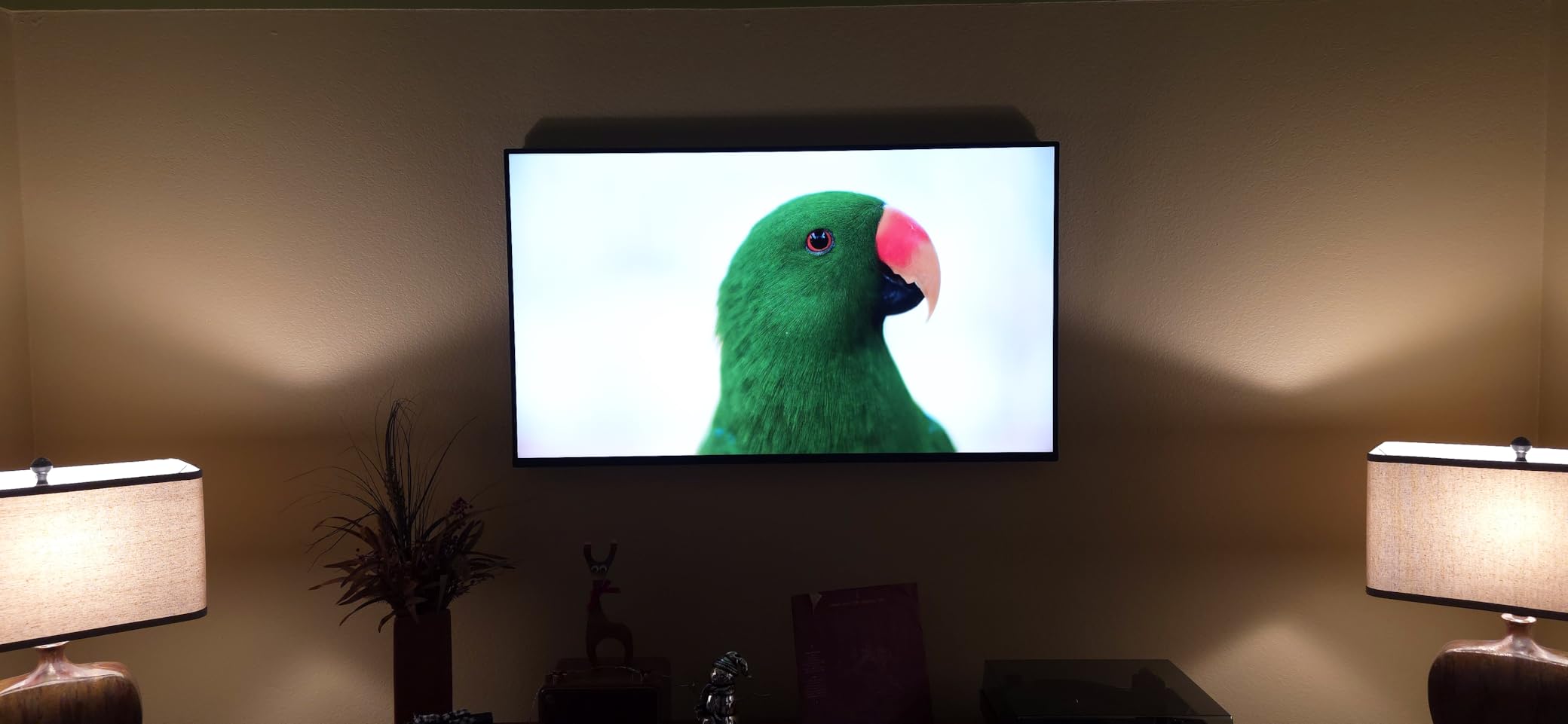 Roku Smart TV - 55-Inch Pro Series 4K QLED RokuTV with Backlit Roku Voice Remote Pro, Dolby Vision IQ, 120Hz Refresh Rate - Live Local News, Sports, Gaming customer photo 1