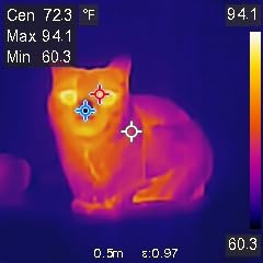 HF96 Thermal Camera with Laser Pointer, Intelligent Scene Detection, Super Resolution 240 x 240, -4F~1022F, Thermal Imaging Camera 96 x 96 IR Resolution, 25 HZ Infrared Camera, 11h Runtime customer photo 2