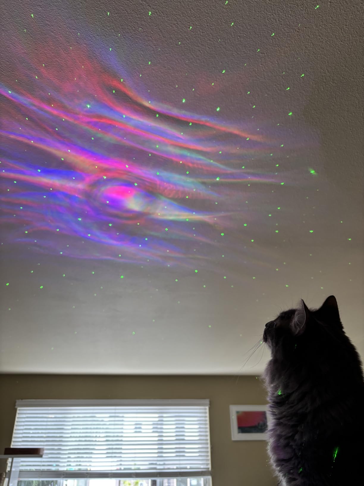 Star Projector, Galaxy Projector, Remote Control & Timer Galaxy Light, LED Nebula Night Light Projector for Adults Bedroom Decoration, Party, Birthday, Christmas, Valentine's Day, Room Decor customer photo 2