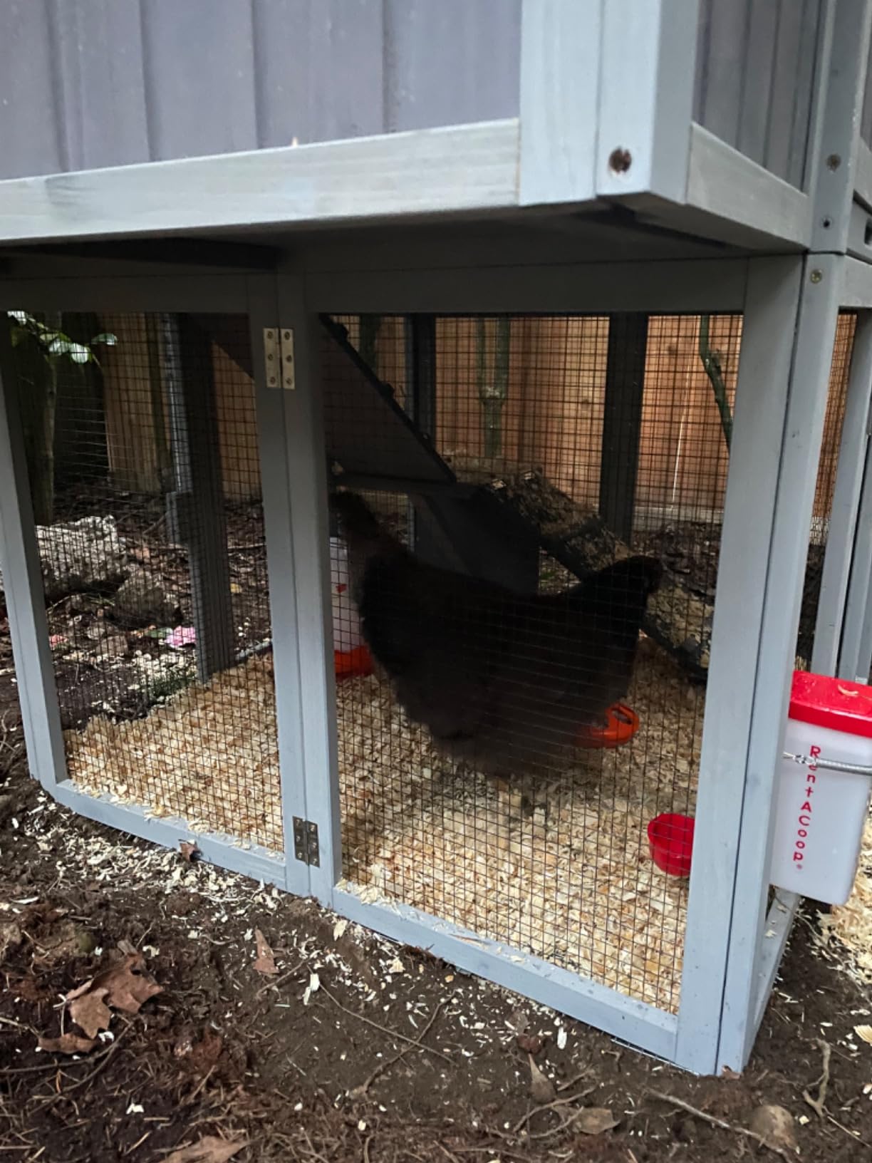 Aivituvin Chicken Coop Mobile Wooden Hen House with Nesting Box,Large Poultry Cage Upgrade with Strong Iron Frame,Durable & Waterproof customer photo 1