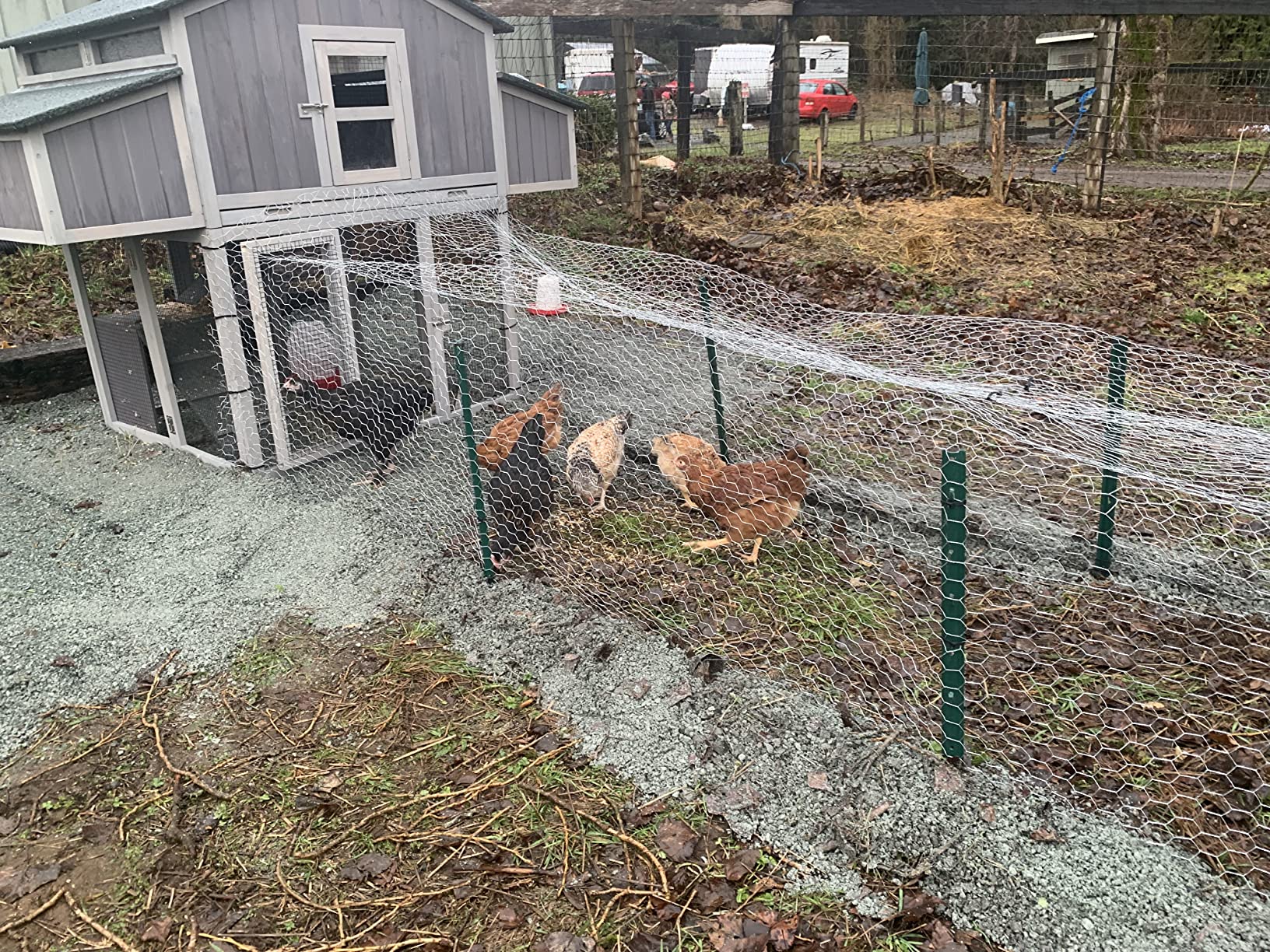 Aivituvin Chicken Coop Mobile Wooden Hen House with Nesting Box,Large Poultry Cage Upgrade with Strong Iron Frame,Durable & Waterproof customer photo 2