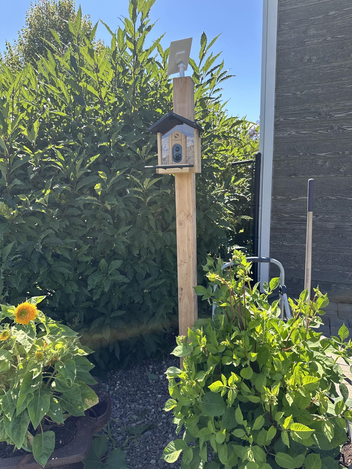 TT Nature Bird Feeder with Camera, Upgraded 1.5L Smart Birdhouse Al Identify for 10000 Plus Species, Auto Capture & Real-time Notifications, Ideal Gift for Bird Lovers (Iron Roof) customer photo 1