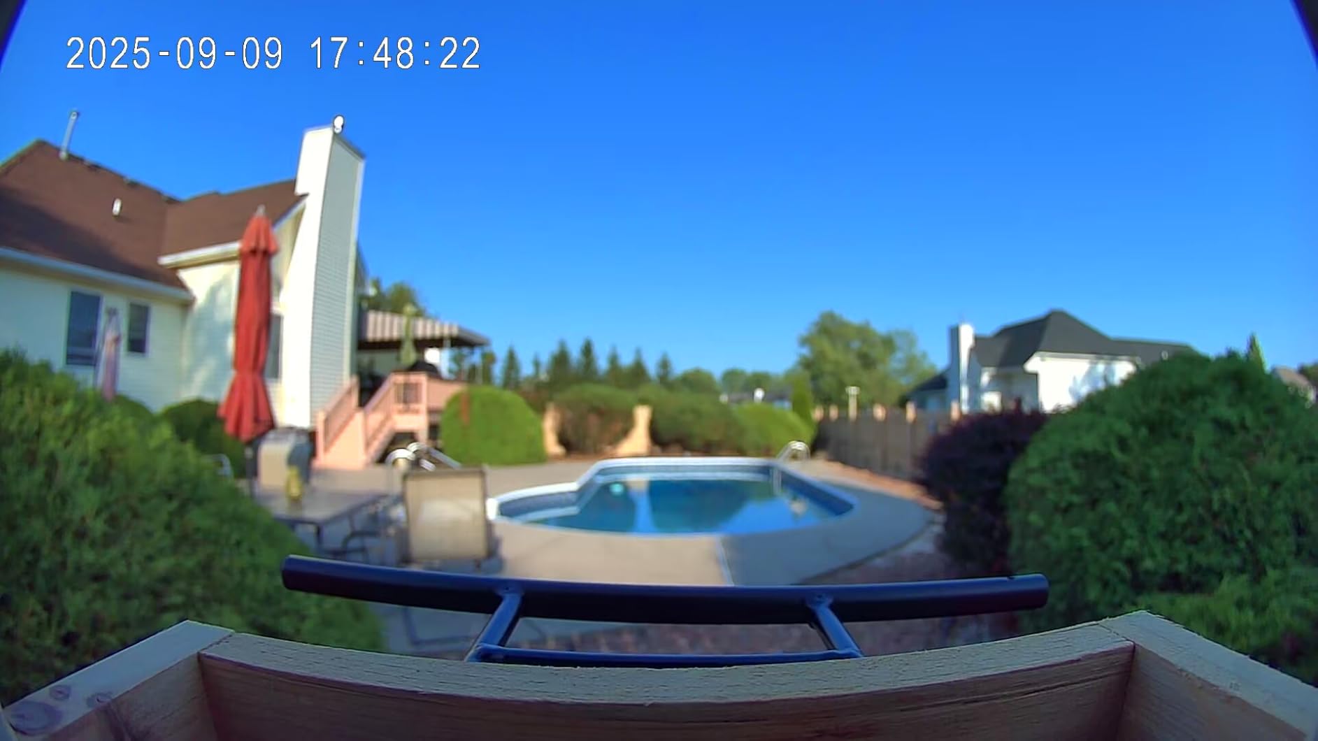 TT Nature Bird Feeder with Camera, Upgraded 1.5L Smart Birdhouse Al Identify for 10000 Plus Species, Auto Capture & Real-time Notifications, Ideal Gift for Bird Lovers (Iron Roof) customer photo 2