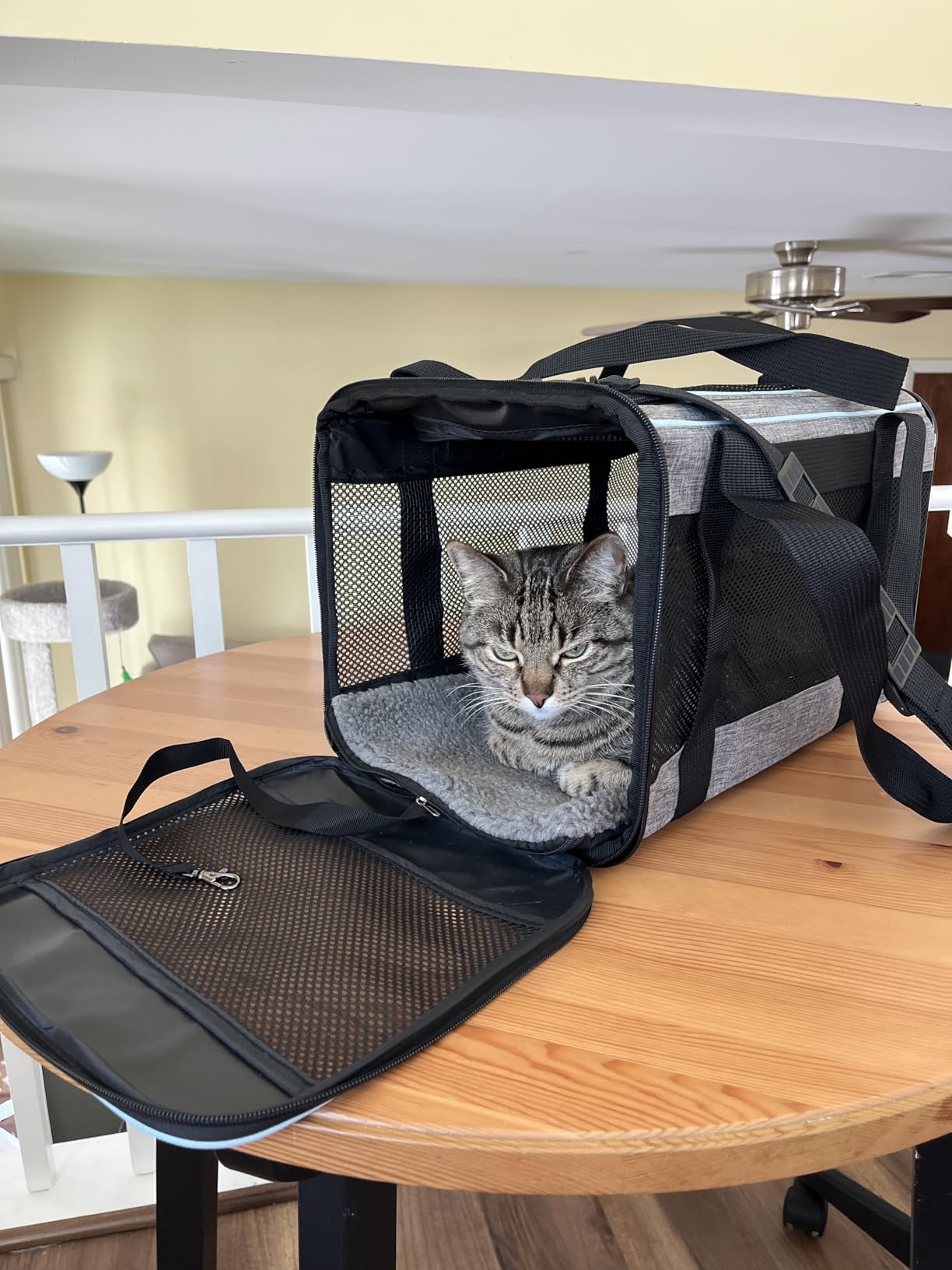 Vceoa 19x12x12 Inches Cat, Dog Carrier for Pets Up to 22 Lbs, Soft-Sided Cat Bag Animal Carriers Travel Puppy Carry As a Toy of Fabric Pet Home customer photo 1