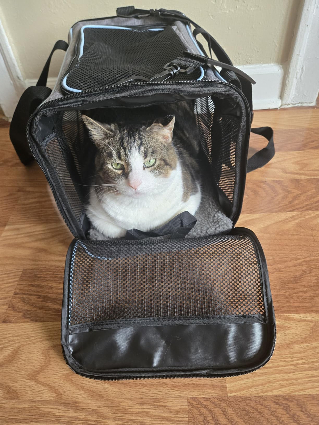 Vceoa 19x12x12 Inches Cat, Dog Carrier for Pets Up to 22 Lbs, Soft-Sided Cat Bag Animal Carriers Travel Puppy Carry As a Toy of Fabric Pet Home customer photo 2