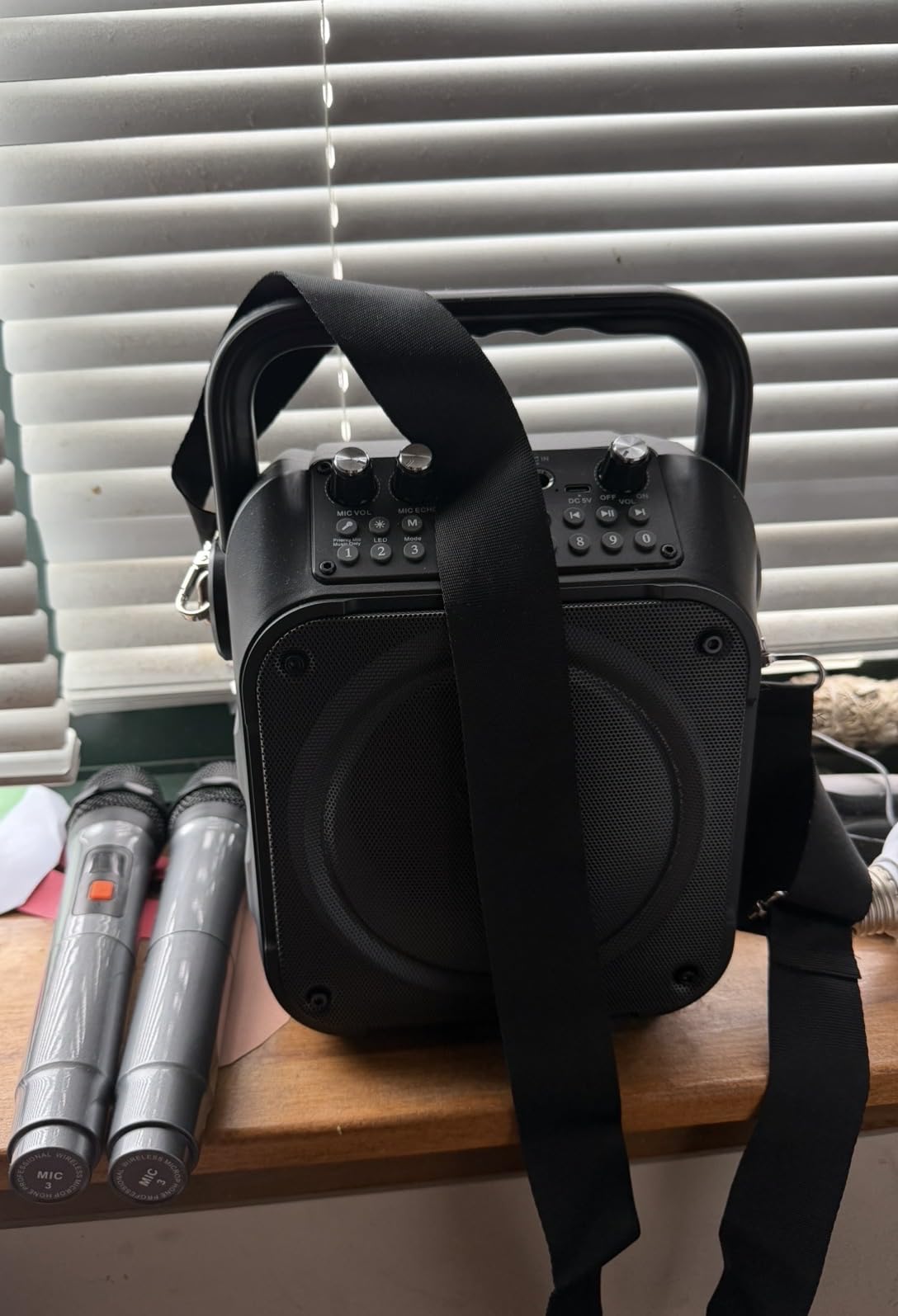 Karaoke Machine, Portable Bluetooth Speaker with 2 Wireless Microphones for Adults & Kids with Lights, PA System Supports USB/TF/REC/FM/AUX customer photo 2