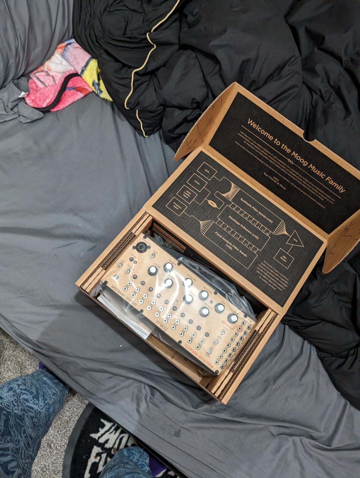 Moog Labyrinth - Semi-Modular Parallel Generative Analog Synthesizer with Dual Sequencer, Dual Oscillators, VC Wavefolder, VC Filter, Patch Bay customer photo 2