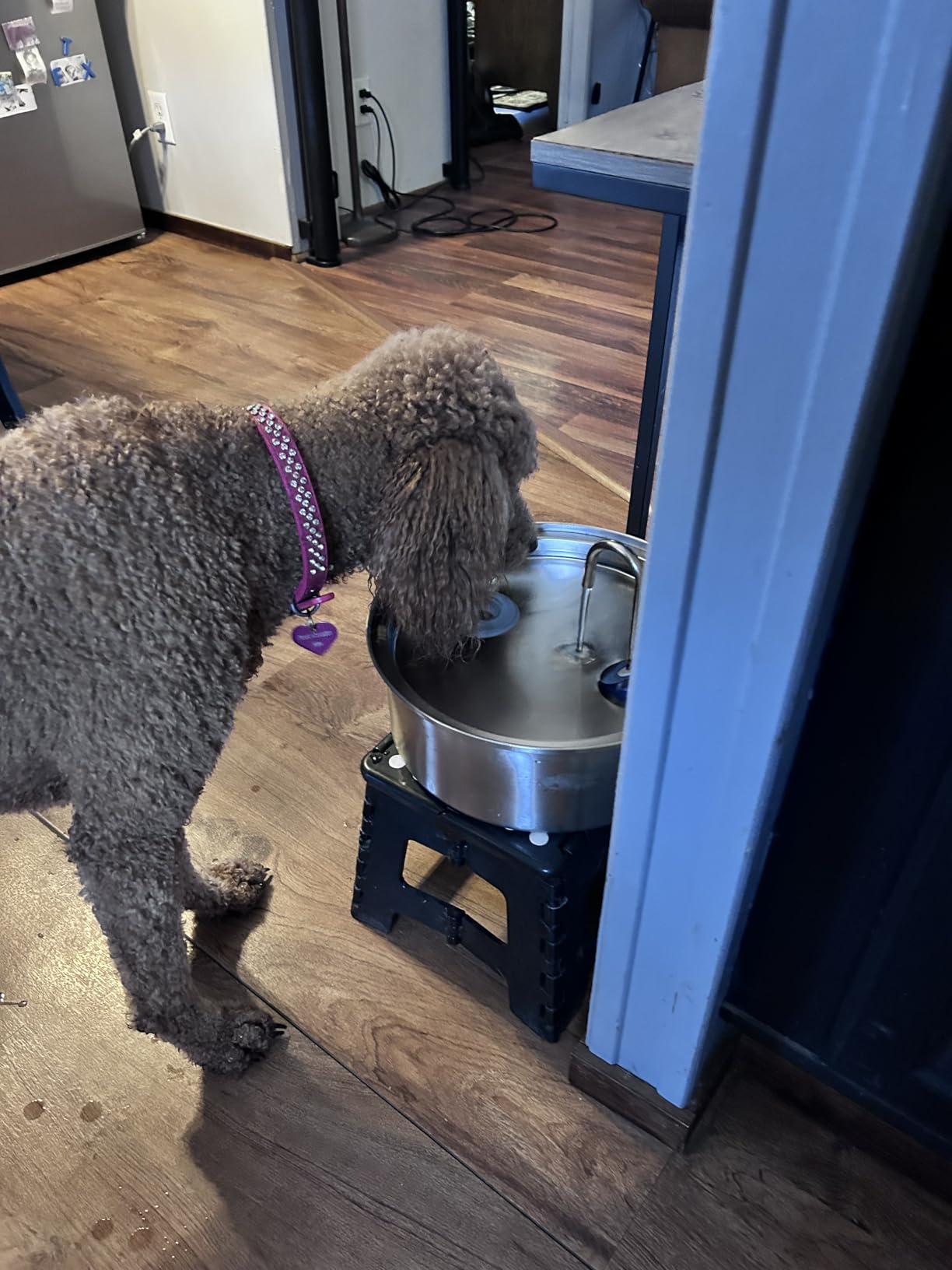 oneisall Dog Water Fountain Stainless Steel for Large/Medium Dogs, 7L/230oz Pet Fountain with Visual Water Level, Ultra-Quiet Water Bowl with 5-Stage Filtration customer photo 2