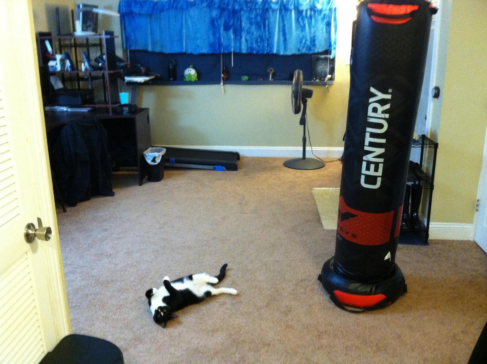 Century Versys Freestanding Punching Bags - Style Options | Soft Base with Stability | Versatile for Throws & Ground Work MMA Training | Low Impact Material | Handle for Clinches & Knee Strikes customer photo 2