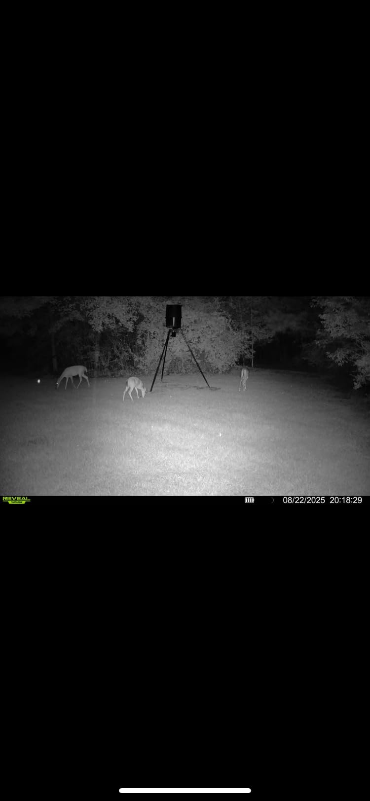 TACTACAM Reveal X Gen 3.0 Cellular Trail Camera - Auto Connect 4G LTE, 4K Photo, 1080p Video, Low-Glow IR Flash, No SD Card Needed, Long Battery Life, Best Hunting & Property Camera customer photo 1