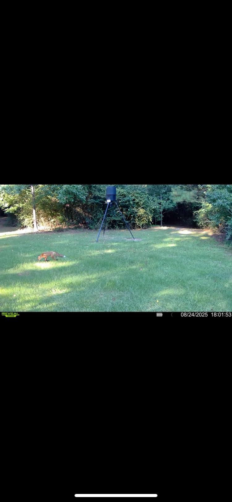TACTACAM Reveal X Gen 3.0 Cellular Trail Camera - Auto Connect 4G LTE, 4K Photo, 1080p Video, Low-Glow IR Flash, No SD Card Needed, Long Battery Life, Best Hunting & Property Camera customer photo 2