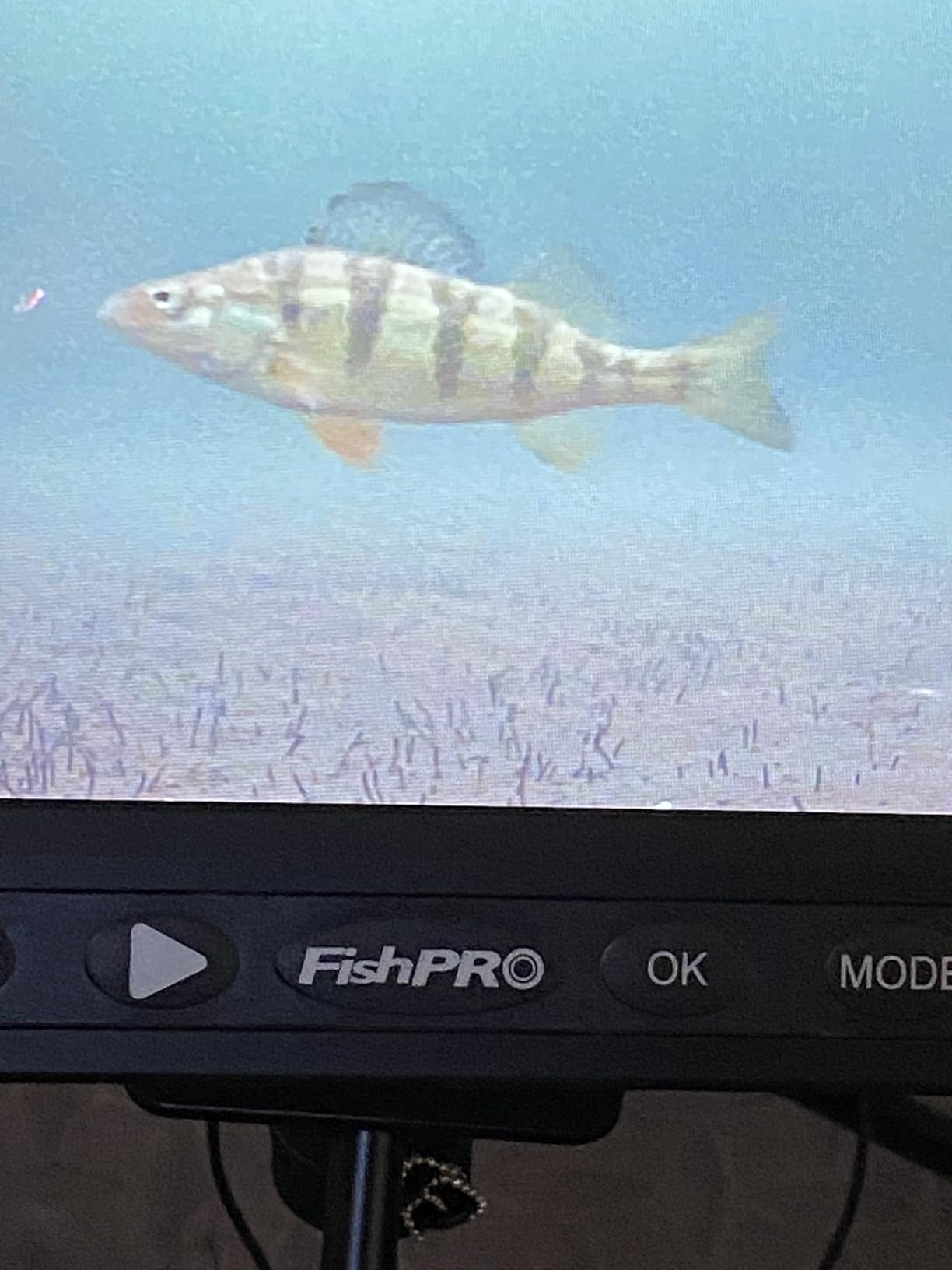 [FishPRO® 2026 Upgrade] NO.1 HD 1080P Underwater Fishing Camera 7''IPS w/DVR-32GB,Ice Fishing Camera w/10,000mAh(Ease to Use), Fish Finder Camera for Ice Lake Boat Fishing w/USB-C, LED+IR, 83ft customer photo 1