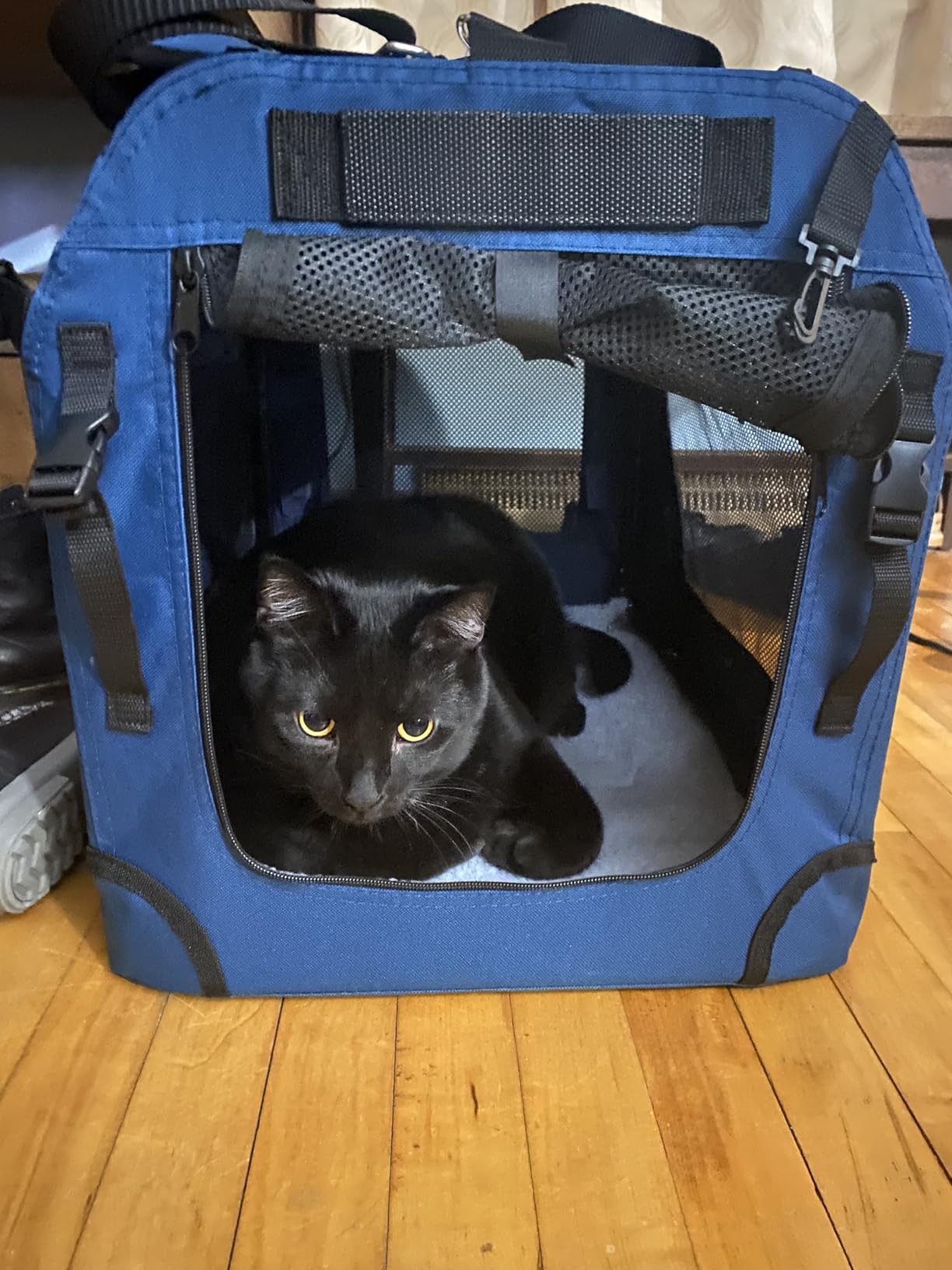 Extra Large Cat Carrier for 2 Cats, Collapsible Soft Sided Pet XL Crate for Large Medium Big Cat 20lbs+, Car Travel Portable Bag for Long Trips Ride 24