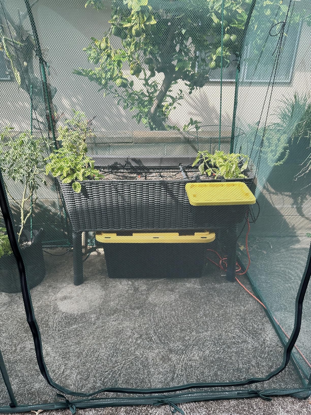 LetPot Automatic Watering System for Potted Plants, [Wi-Fi & App Control] Drip Irrigation Kit System, Smart Plant Watering Devices for Indoor Outdoor, Water Shortage Remind, IPX66 customer photo 1