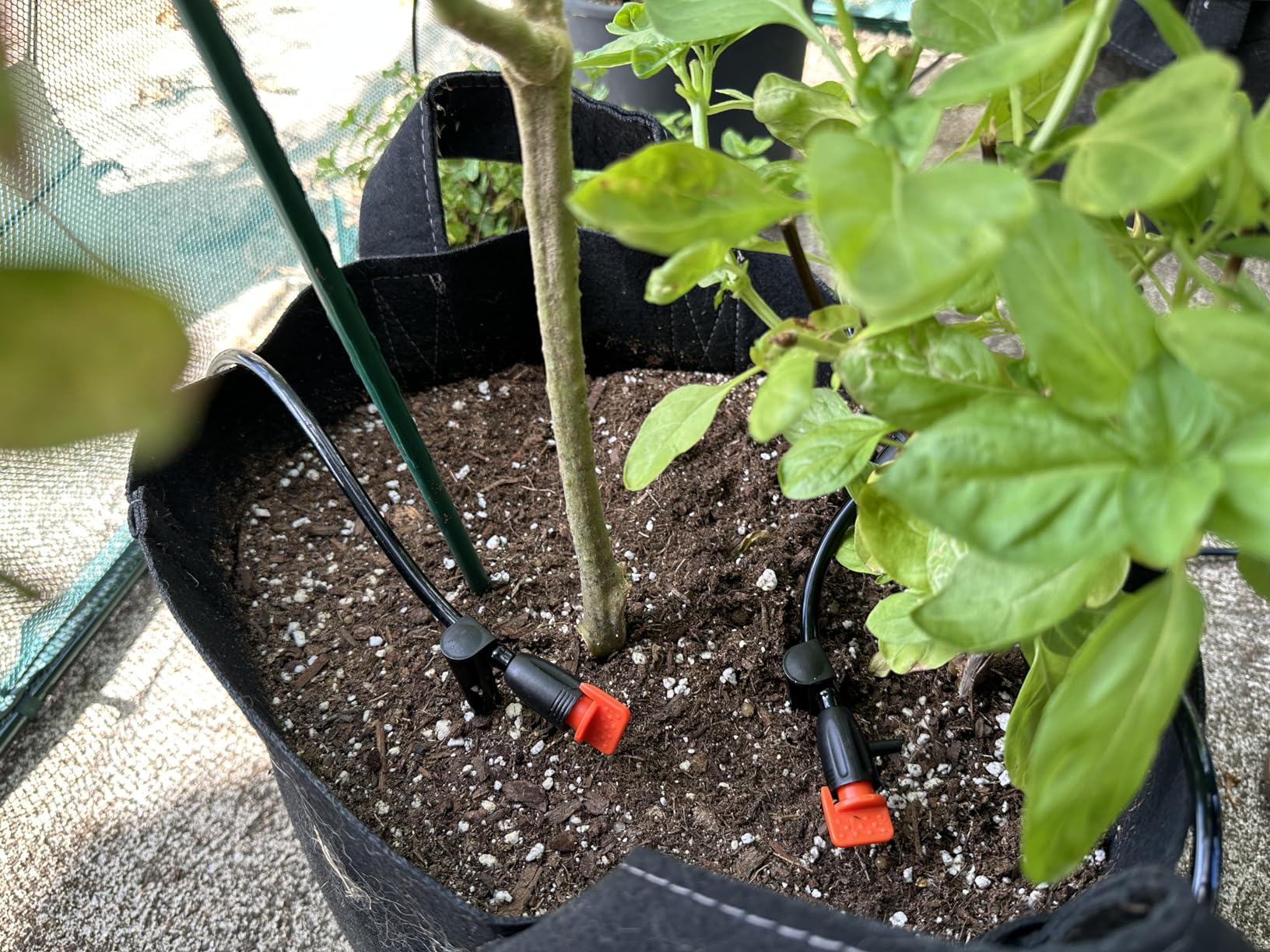 LetPot Automatic Watering System for Potted Plants, [Wi-Fi & App Control] Drip Irrigation Kit System, Smart Plant Watering Devices for Indoor Outdoor, Water Shortage Remind, IPX66 customer photo 2