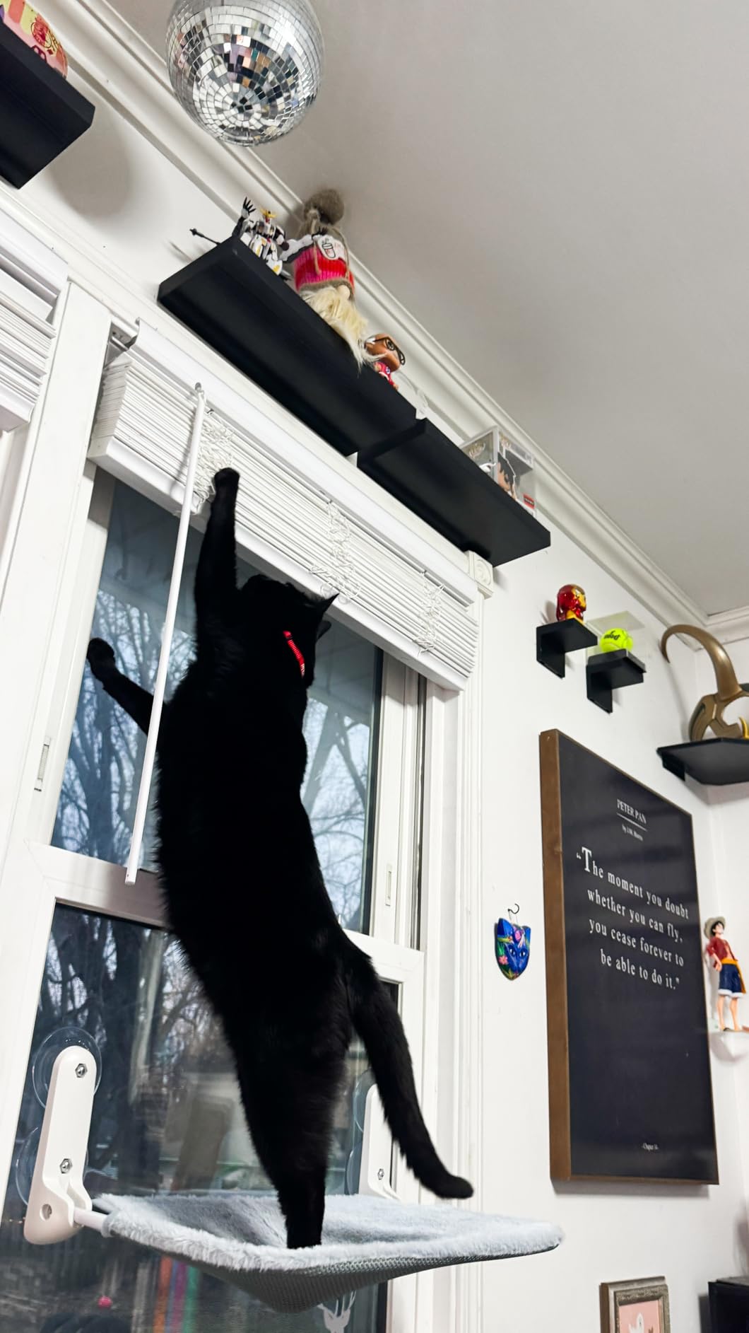 2PC Cat Window Perch Cordless Foldable Cat Hammock Bed for Window with Metal Frame and Reversible Cover, Large Suction Cups Window Resting Seat for Indoor Cats (Cat Bed, M-2PC) customer photo 2