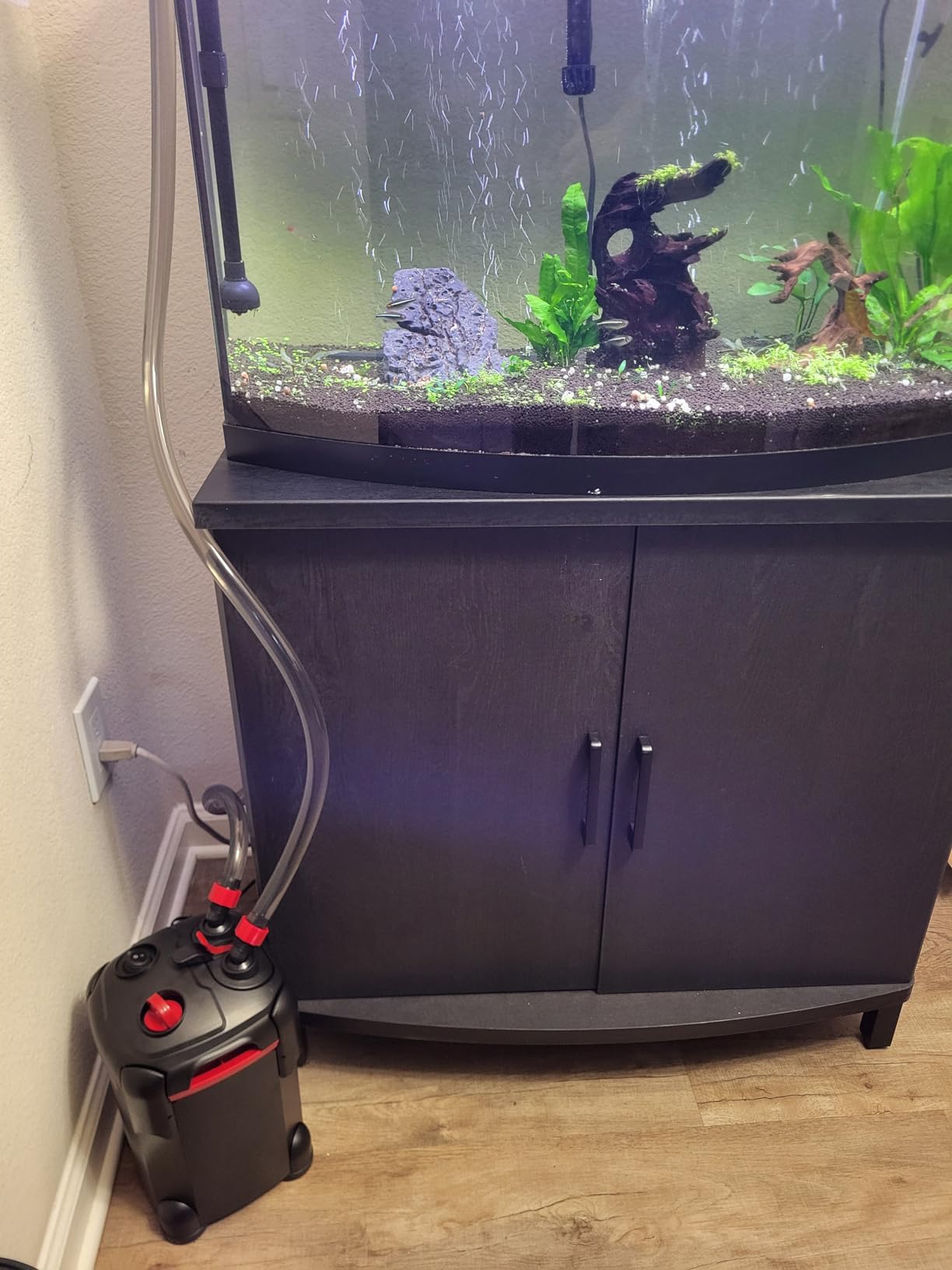 225GPH Canister Filter, External Aquarium Filter Ultra-Quiet Water Circulation Cleaning Machine with Media for Fish Tanks and Aquariums Up to 55 Gallons (225GPH) customer photo 1