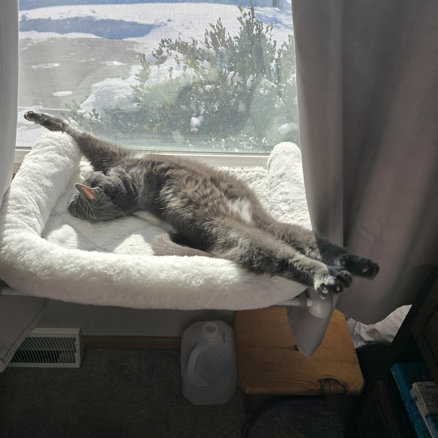 Cat Window Sill Perch with Large Bolster, Easy to Adjust & Assemble Cat Window Seat for Windowsill & Bedside, Pet Hammock Bed for Large Cats and Kittens (Grey, L) customer photo 2