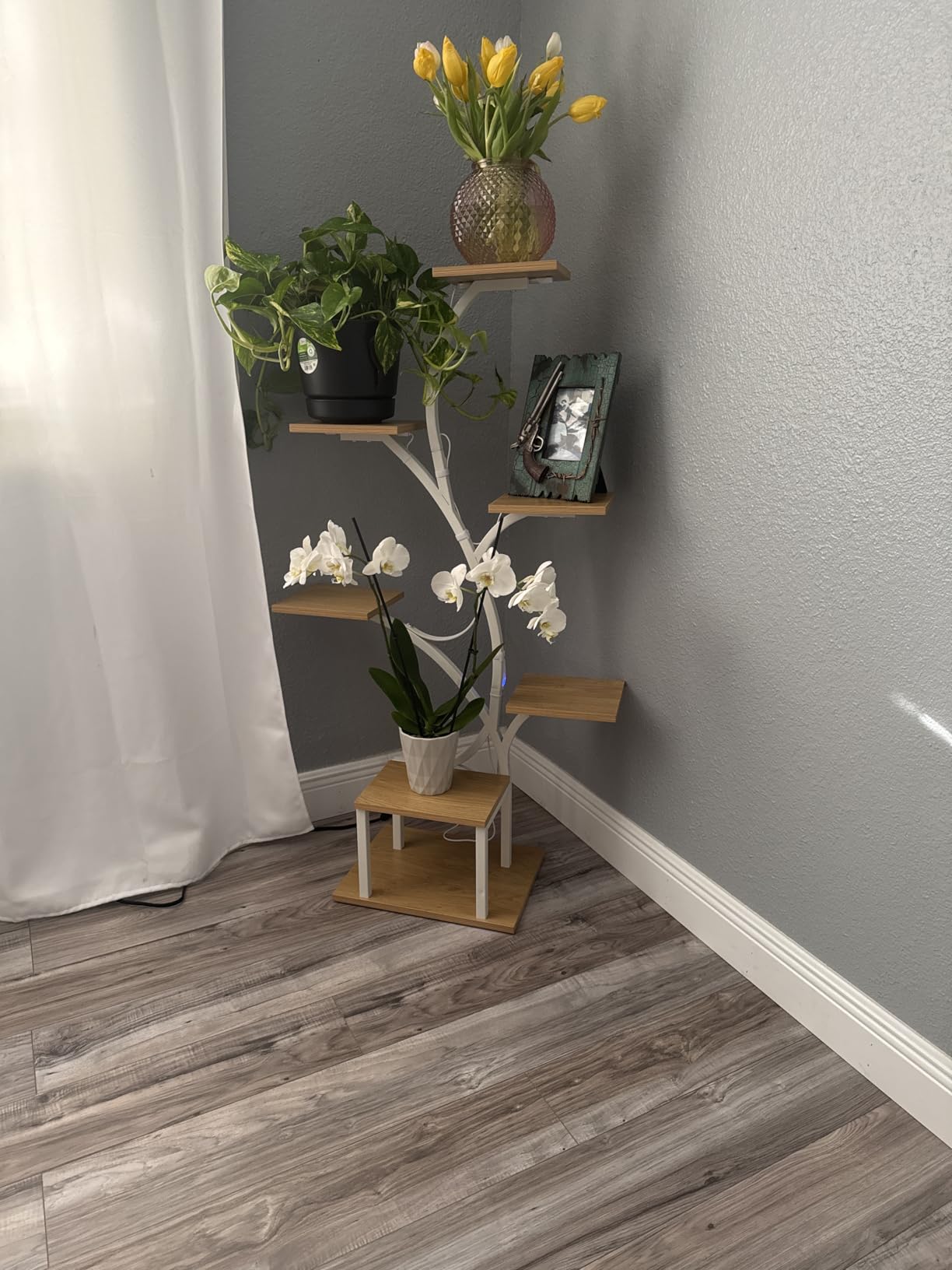 Plant Stand Indoor with Grow Lights, 7 Tiered Indoor Plant Shelf, 49
