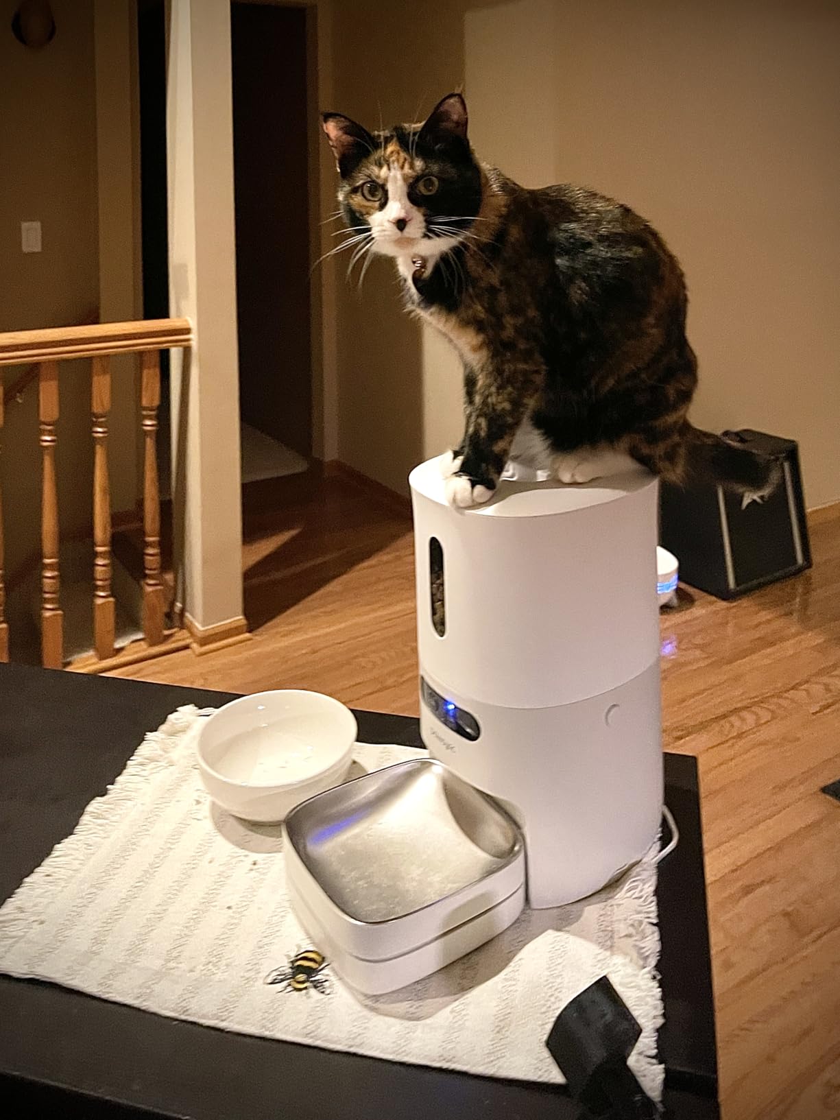 Automatic Cat Feeder, WiFi Smart Scale Tracks Pet's Food Intake, App Control, 3.6L Timed Food Dispenser for Cats and Dogs, Up to 10 Meals Per Day, Stainless Steel Bowl, Dual Power Supply customer photo 1
