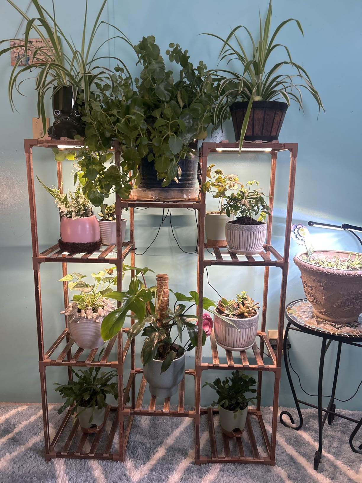 Bamworld Plant Stand with Grow Light Plant Shelf for Multiple Pots Large Plant Holder for Living Room Patio Boho Home Decor for Gardening Warm Light customer photo 1