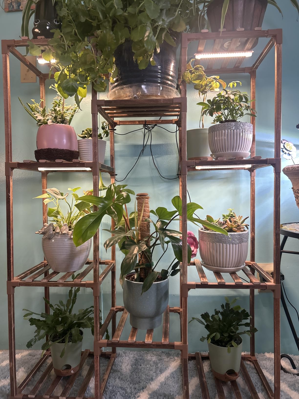 Bamworld Plant Stand with Grow Light Plant Shelf for Multiple Pots Large Plant Holder for Living Room Patio Boho Home Decor for Gardening Warm Light customer photo 2