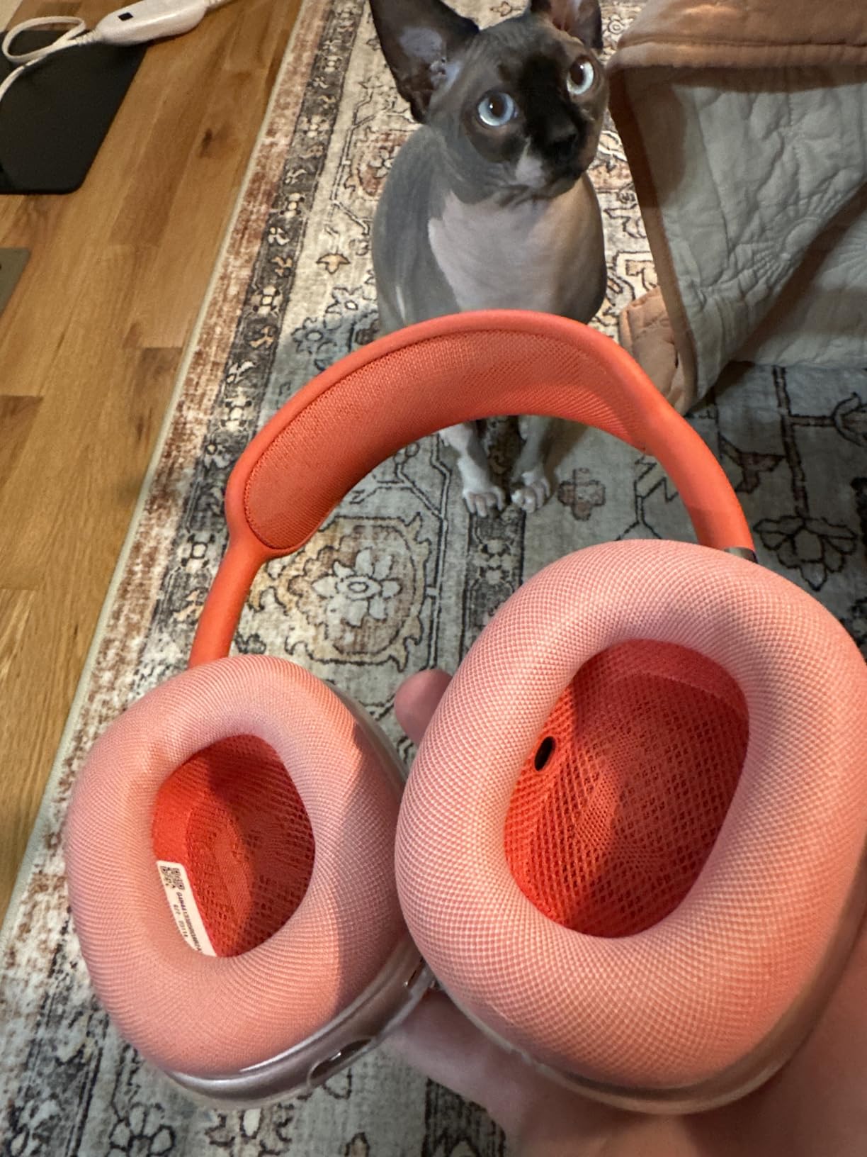 Apple AirPods Max - Starlight (Renewed) customer photo 2
