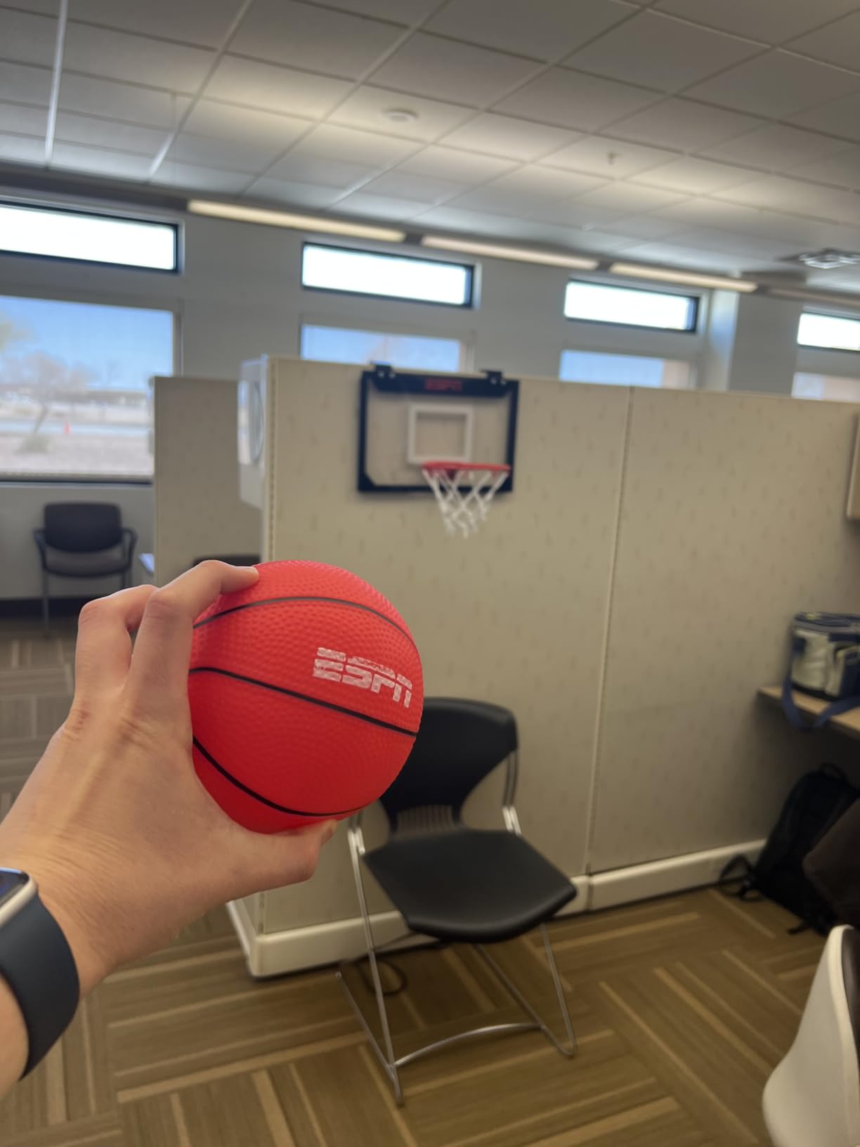 ESPN Mini Basketball Hoop, Over The Door Basketball Hoop with Foldable Breakaway Rim customer photo 1
