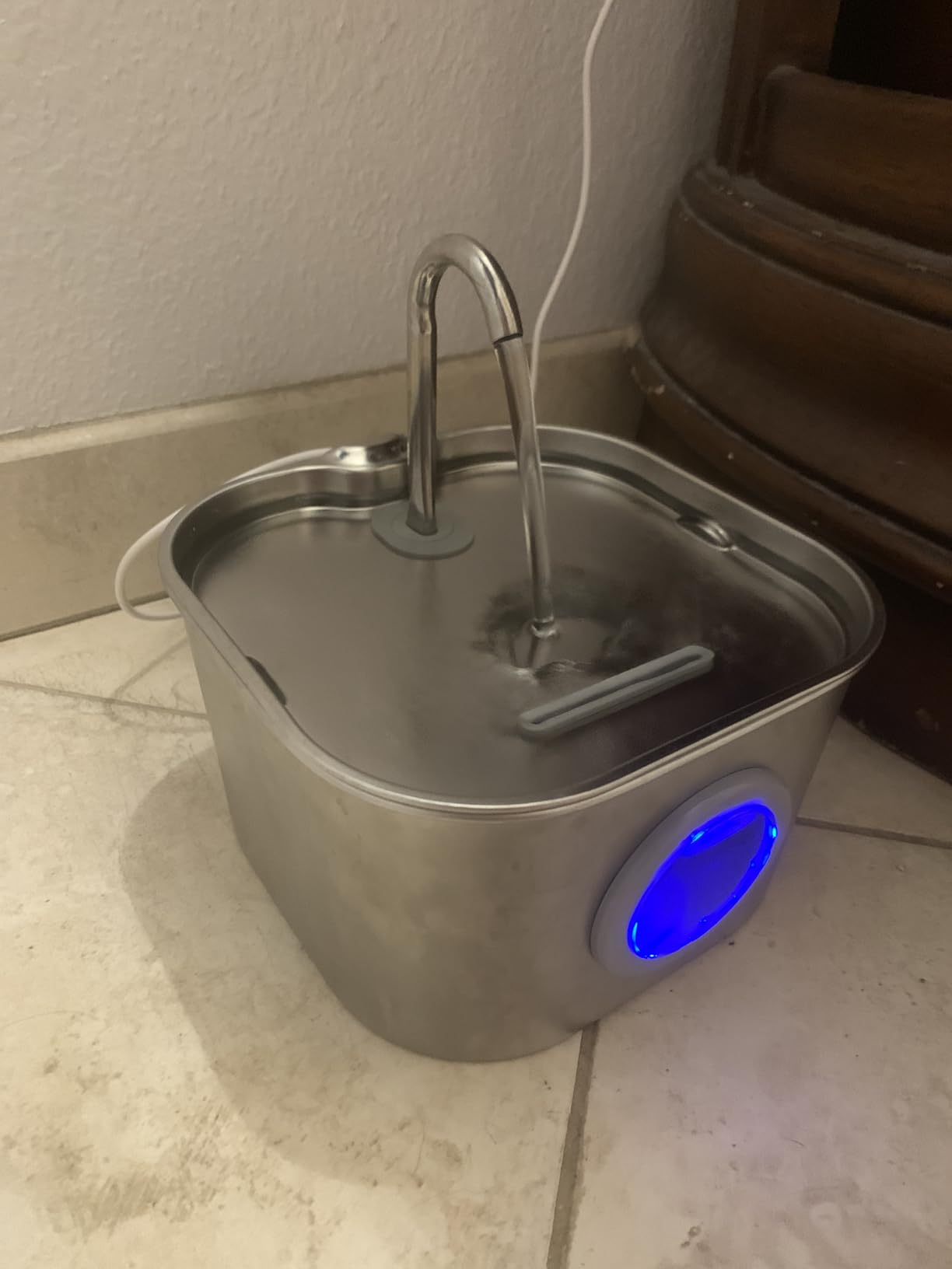 Cat Water Fountain Stainless Steel: Pet Fountains for Cats/Dog Indoor Automatic Waterer Bowls for Drinking Small Animal Water Dispenser Metal Pets Watering Faucet Bottle Auto Kitty Watering Supplies customer photo 1