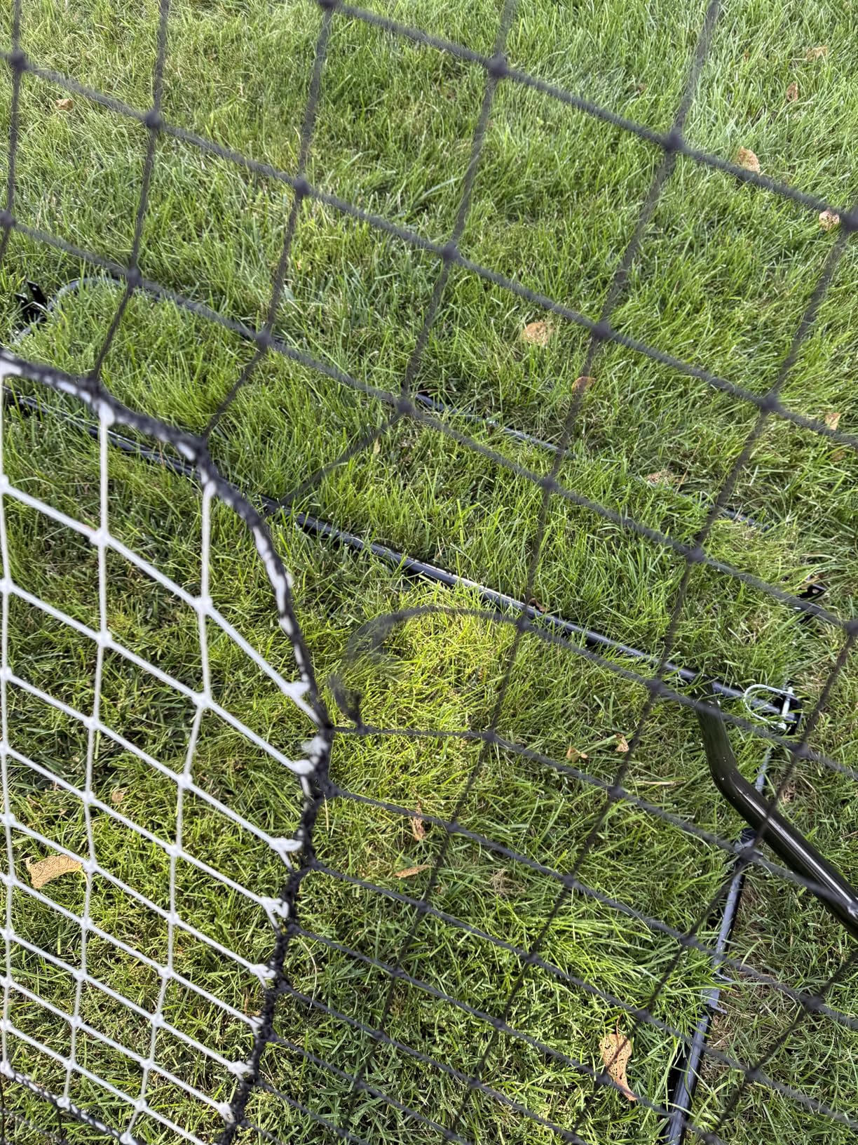Baseball Rebounder ,4x4.5FT Soccer Rebounder with 4 Adjustable Angles, 28 Bungee Cords to Adjust Elastic, Sports Equipment for Soccer/Baseball/Softball/Volleyball Training,Pitchback Net for All Levels customer photo 1