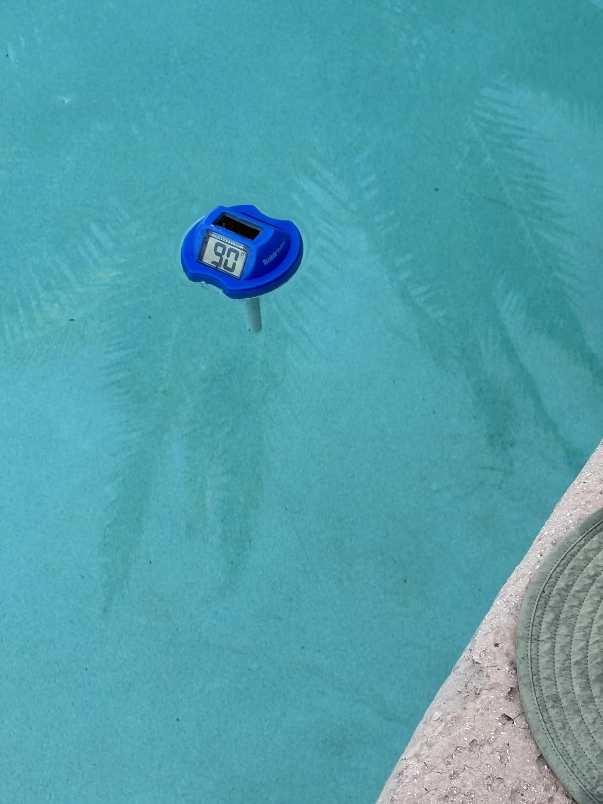 BaldrTherm Floating Pool Thermometer Digital, Swimming Pool Thermometer Solar, High Precision Anti-Fogging with Double-Sided Display Screen for Aquarium, Spa, Hot Spring, Ponds (Blue) customer photo 1