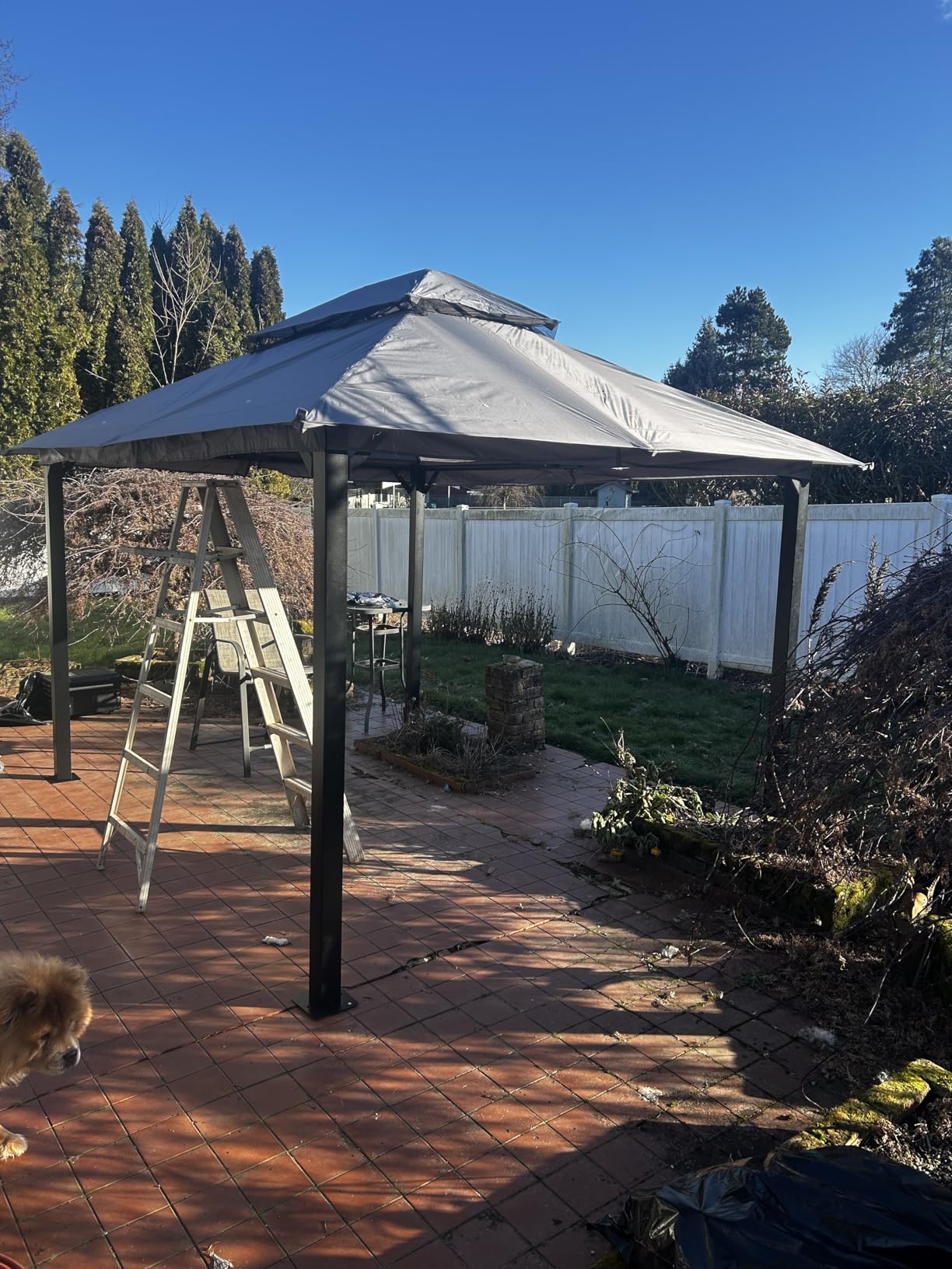 Aoxun Outdoor Gazebo for Patio 8x8, Metal Frame Canopy with Double Roofs, Heavy Duty Party Tent and Shelter with Mosquito Netting and Privacy Screen for Backyard, Lawn, Garden, Deck (Grey) customer photo 1