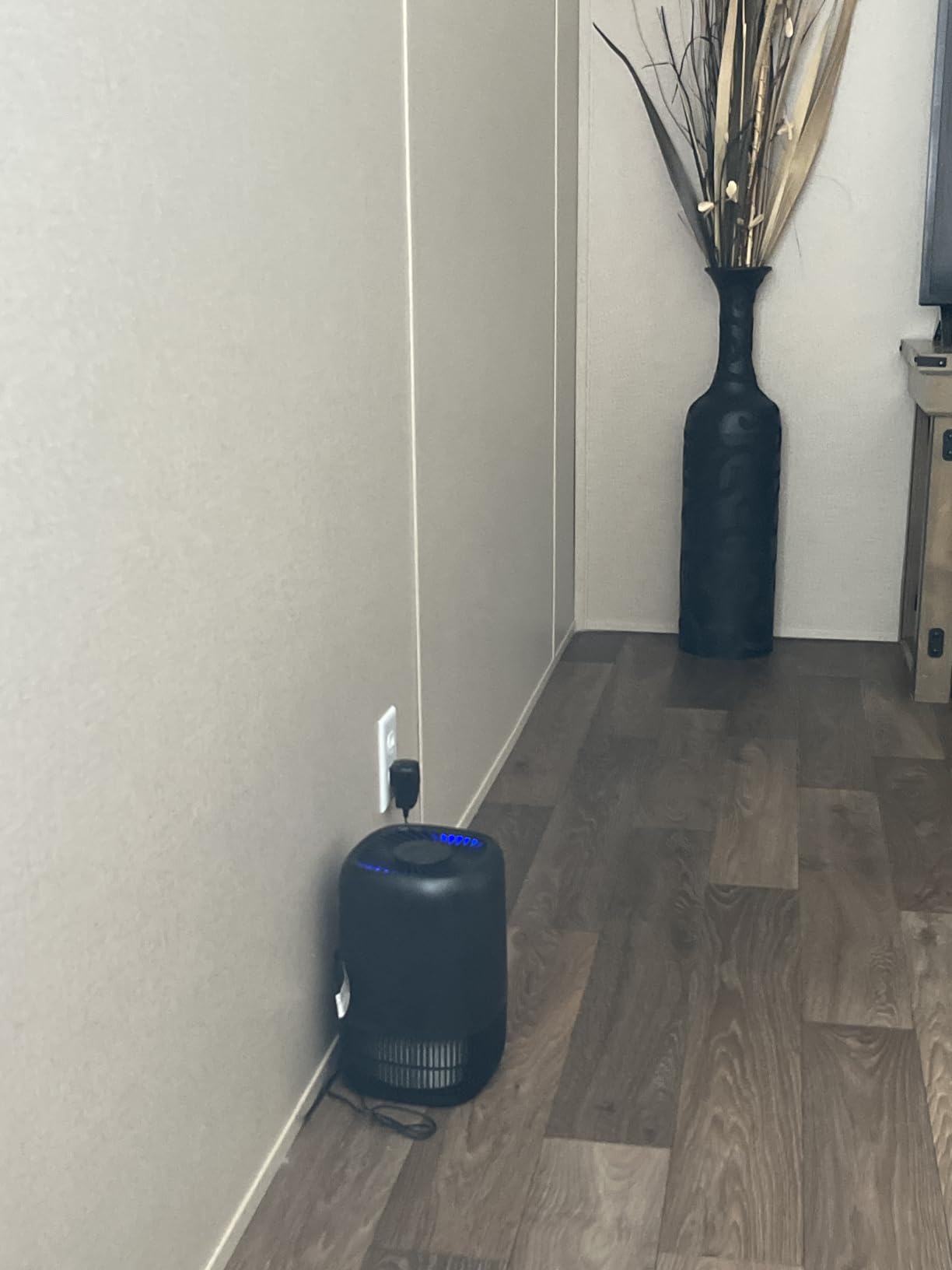 Air Purifiers for Home with H13 Quiet HEPA Filter Up to 1076 Ft² for Pet Hair, Odors, Pollen, Smoke, Compact Air Cleaner with 3 Speeds, Timer, Aroma Quiet 360°Intake Filter, White customer photo 1