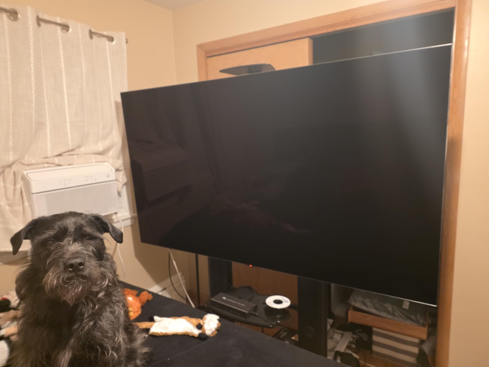 55-Inch Class OLED evo AI Super Upscaling 4K G5 Series Smart TV w/Dolby Atmos & Vision, HDR10, Filmmaker Mode, Wow Orchestra, Alexa Built-in (OLED55G5WUA, 2025) customer photo 2