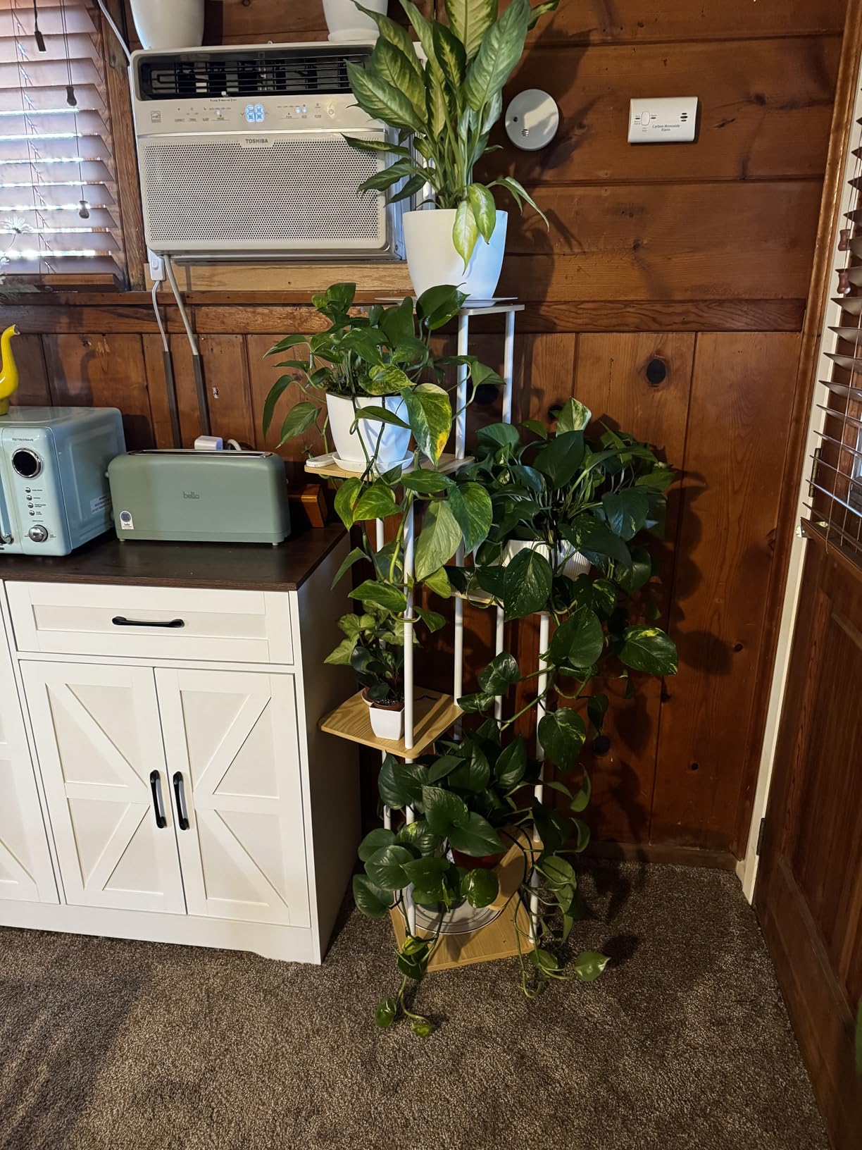 Bamworld Tall Plant Stand Indoor with Grow Light Corner Plant Stand for Indoor Plants 5 Tier Metal Wood Plant Shelf with Grow Lights for Living Room Bedroom Patio Garden Balcony Decor customer photo 1