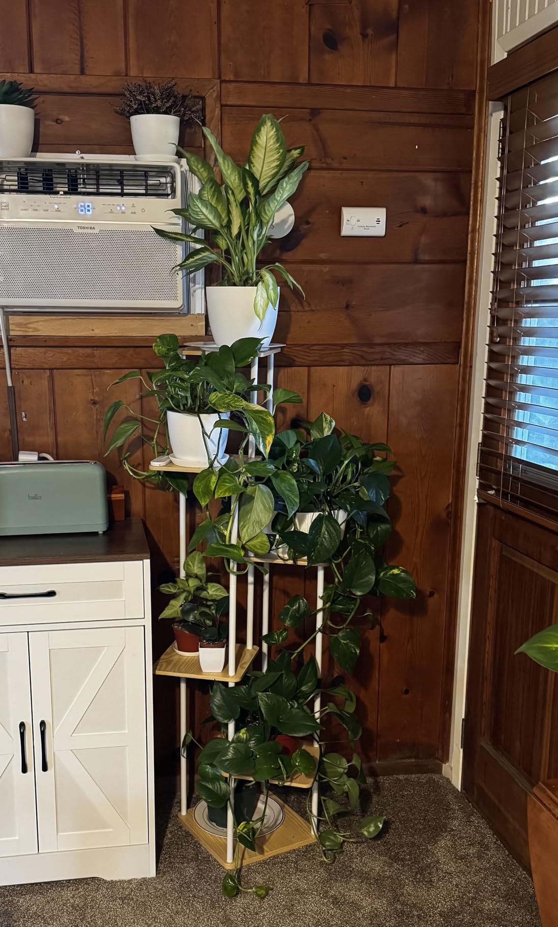 Bamworld Tall Plant Stand Indoor with Grow Light Corner Plant Stand for Indoor Plants 5 Tier Metal Wood Plant Shelf with Grow Lights for Living Room Bedroom Patio Garden Balcony Decor customer photo 2