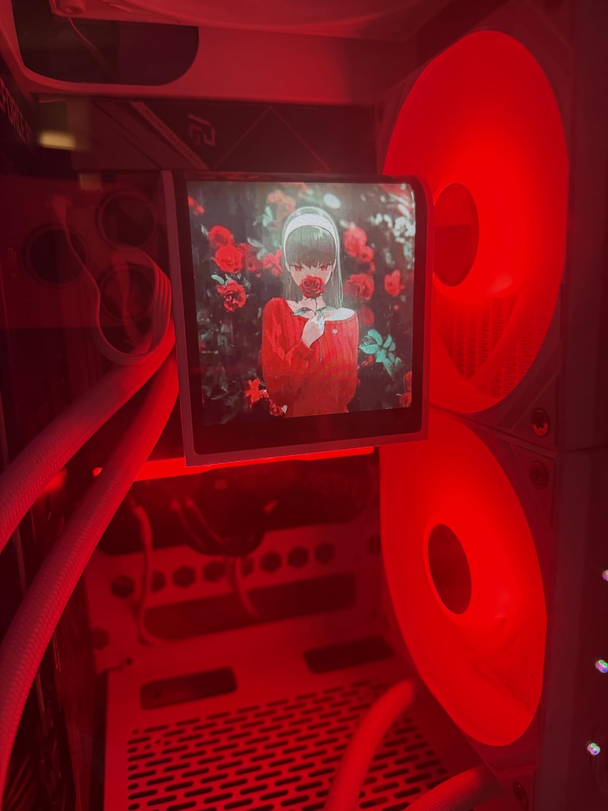 TRYX Panorama SE 360 ARGB 360mm AIO Rotatable 6.67'' AMOLED Curved Screen 3D Anamorphic Effect Customizable AIO Cooler 360mm Asetek Adela Pump 280w TDP ARGB Fan Intel LGA 1851/1700 AMD AM5/AM4 customer photo 2