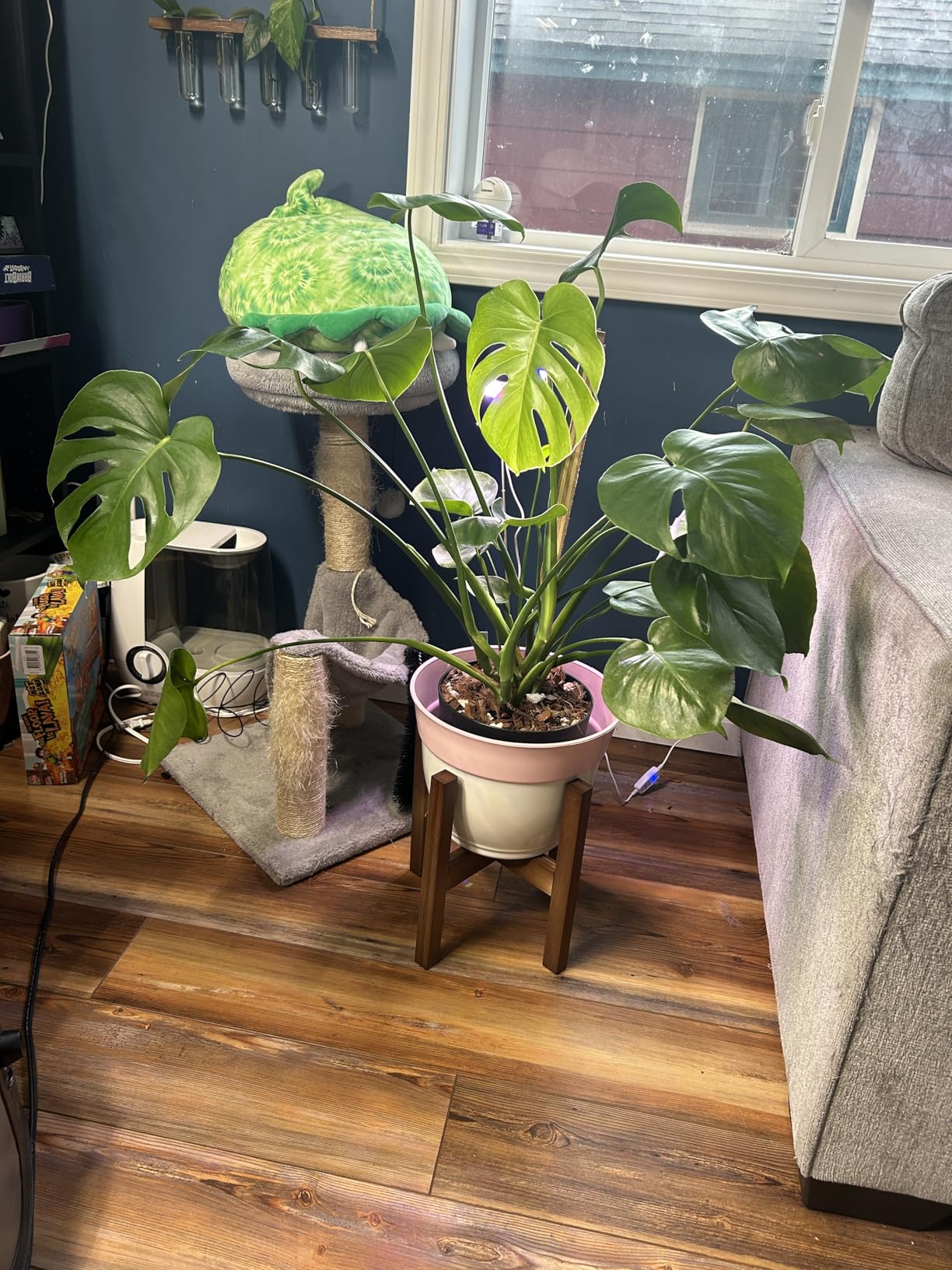Natural Bamboo Plant Stand Indoor, Adjustable Plant Shelf Indoor Fits 8-12 Inch Pots, Mid Century Modern Decor to Refresh Your Space(Pot & Plant Not Included) customer photo 1