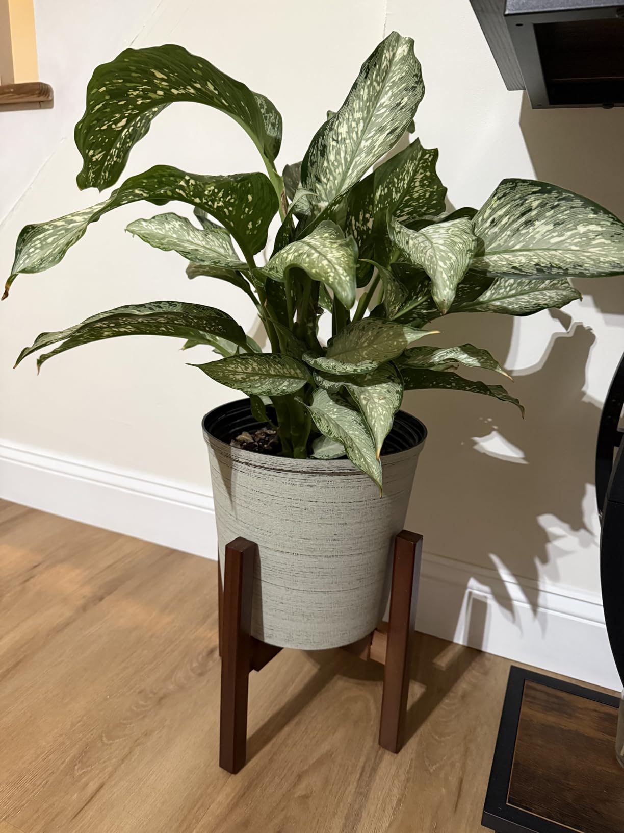 Natural Bamboo Plant Stand Indoor, Adjustable Plant Shelf Indoor Fits 8-12 Inch Pots, Mid Century Modern Decor to Refresh Your Space(Pot & Plant Not Included) customer photo 2