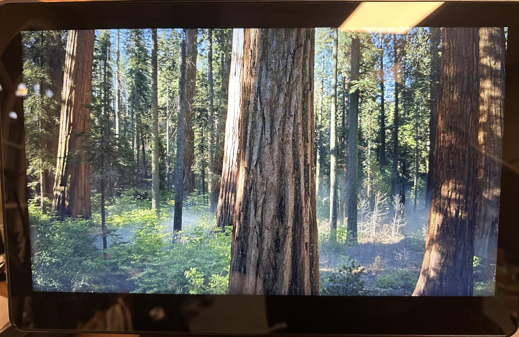 15.6