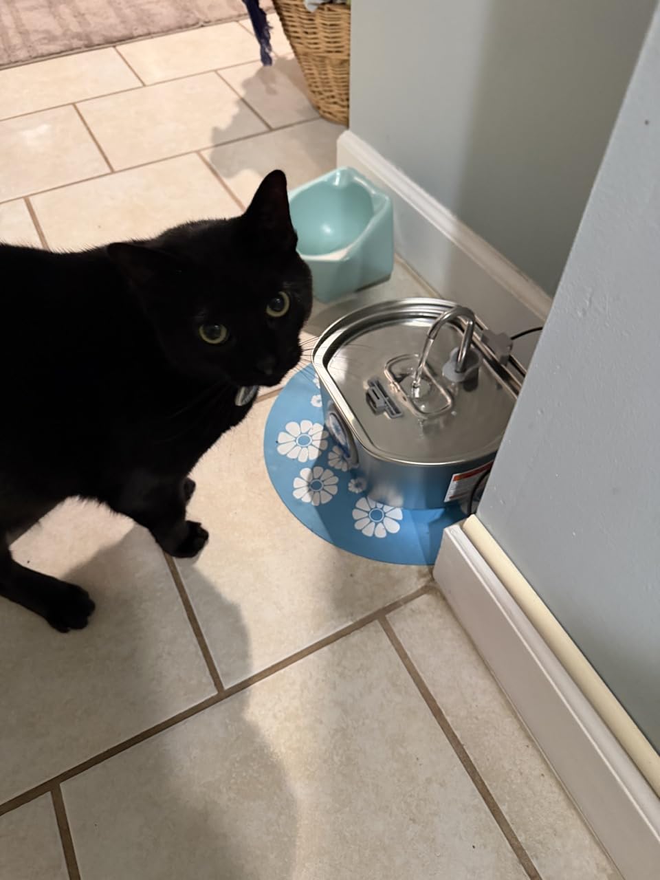 Cat Water Fountain Stainless Steel: 73oz/2.2L Cat Fountain for Drinking- Pet Water Fountain Inside - Automatic Dog Watering Dispenser Bowl - Pet Feeding & Watering Supplies customer photo 2