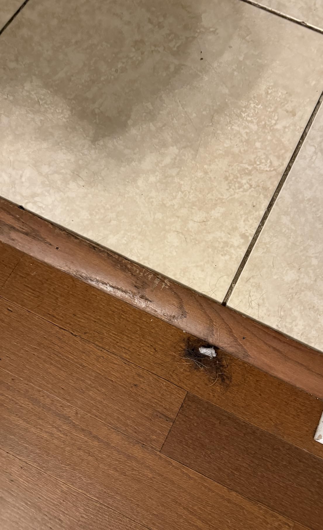 eufy Robot Vacuum E25, 20,000 Pa Suction, HydroJet Always-Clean Roller Mop, All-in-One Robot Vacuum and Mop Combo, Edge-to-Corner Cleaning, Zero-Tangle Design, AI Obstacle Avoidance (Upgraded) customer photo 2