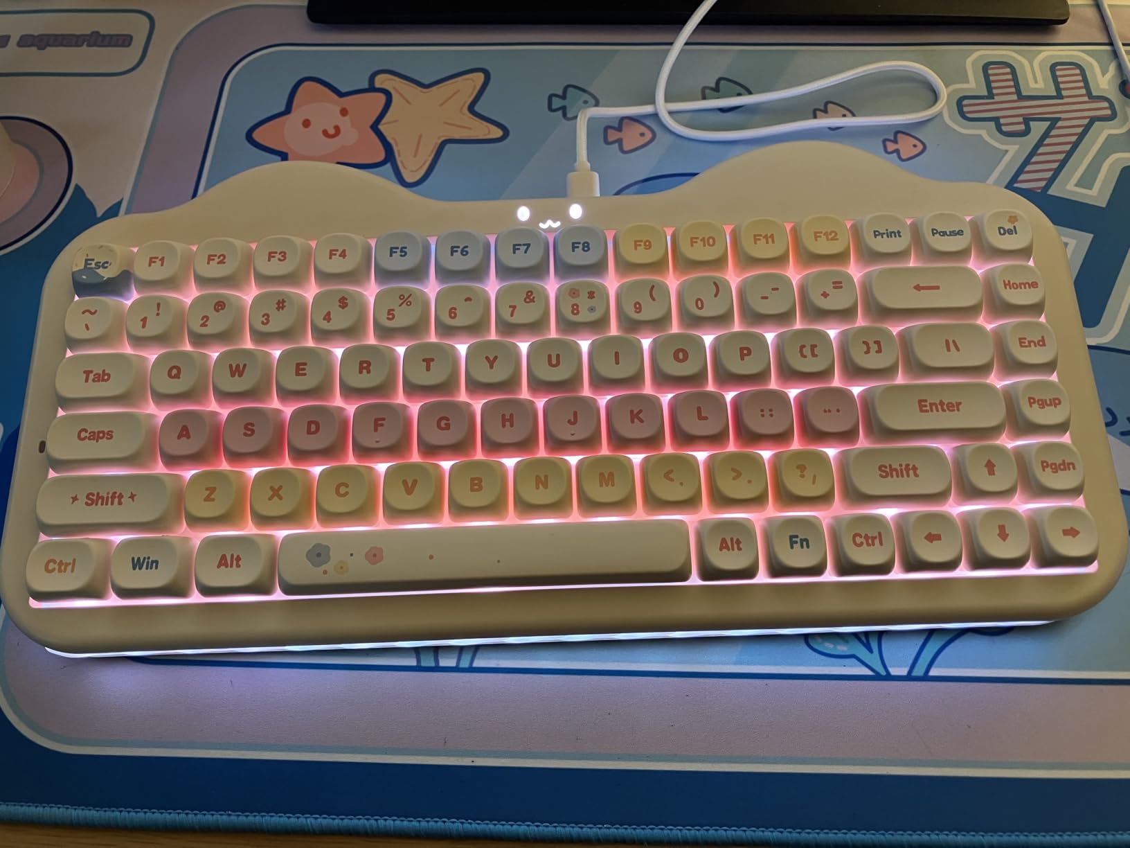 YUNZII C75 Wireless Mechanical Keyboard,75% Layout, Hot-Swappable NKRO,BT5.0/2.4G/USB-C Mode,Dye-Sub PBT MOA Keycaps,RGB Gasket Mount,Cute Cake Design for Mac/Win/Gaming (Purple, Candy Switch) customer photo 1