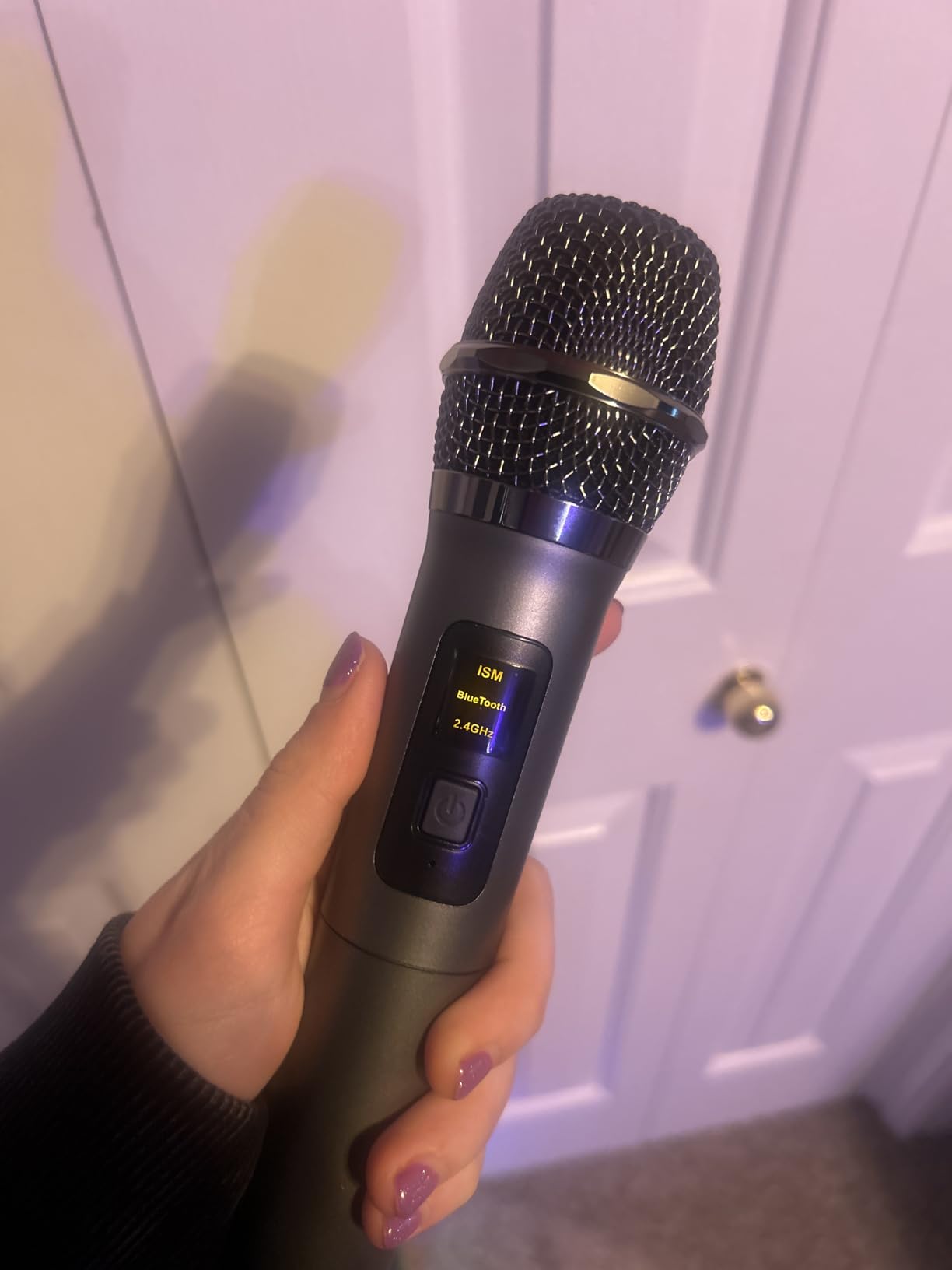 Karaoke Machine with 2 Wireless Rechargeable Microphones: Portable Bluetooth Speaker for Adults & Kids - PA System with Lights customer photo 2
