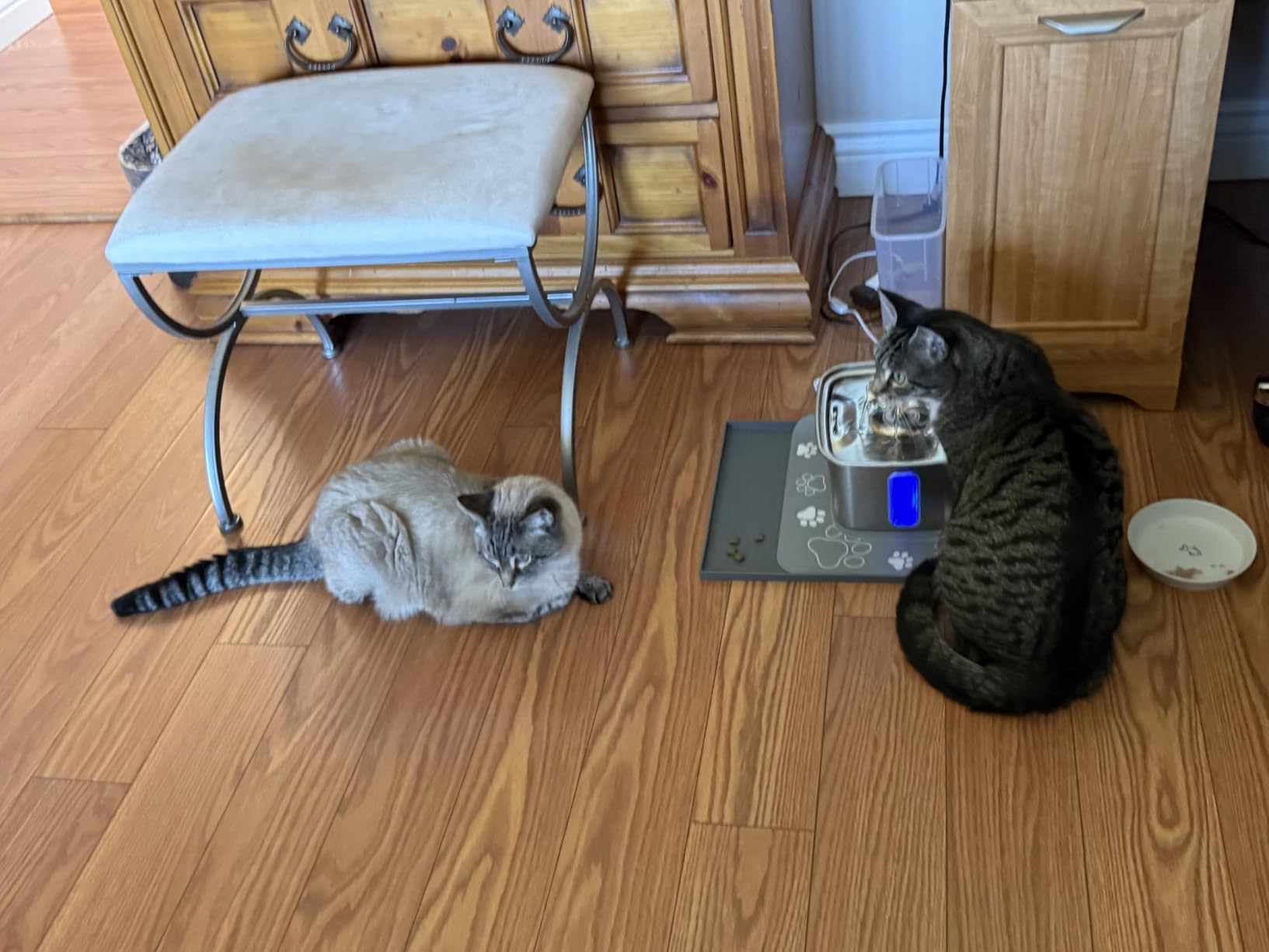 Veken Innovation Award Winner Stainless Steel Cat Water Fountain, 108oz/3.2L Automatic Pet Fountain Dog Water Dispenser with 3 Replacement Filters & Silicone Mat (Silver) customer photo 2