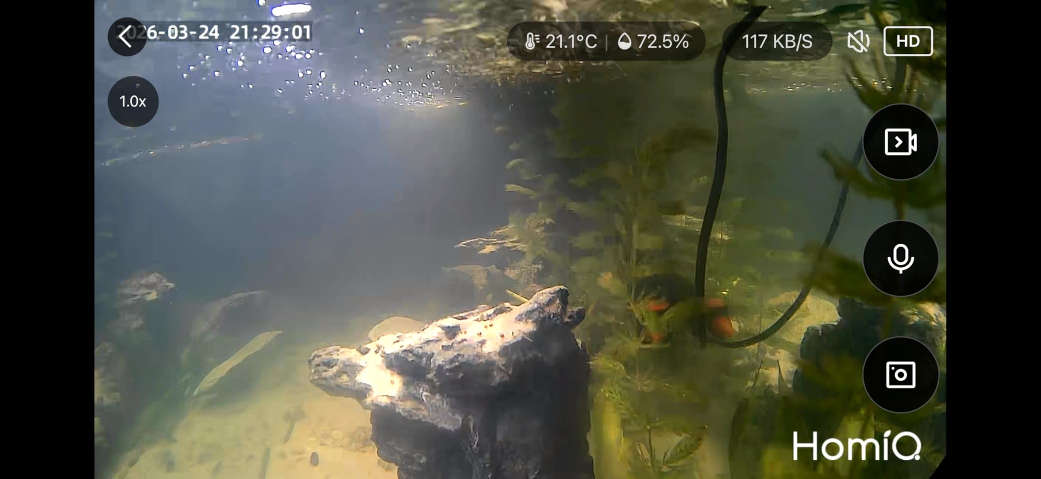 3MP 2K Aquarium & Terrarium Pet Camera.Install &Close-Focus Lens for Fish,Lizard, Reptile Pet and Window Bird Feeder,2.4GHz & 5GHz WiFi,Auto-Focus,24/7 Recording customer photo 1