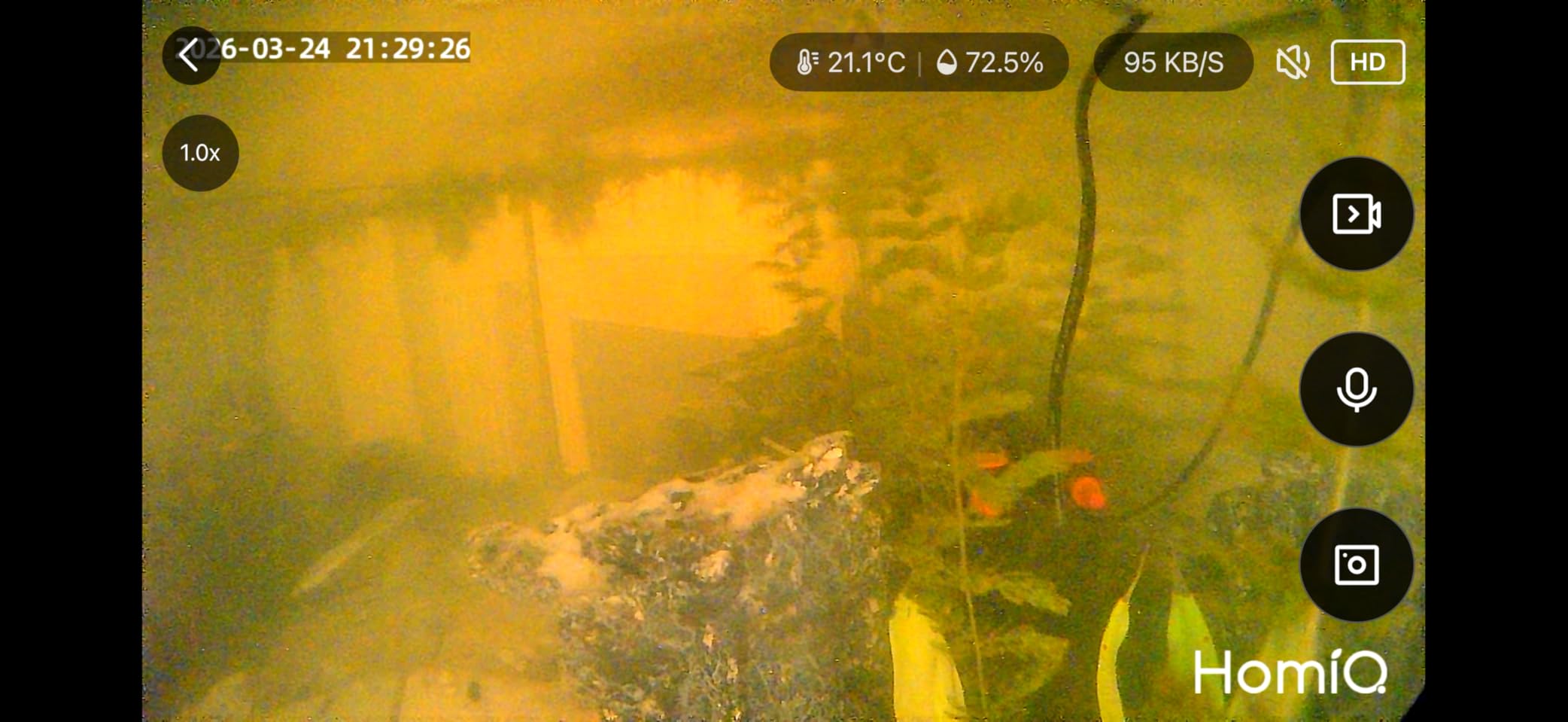 3MP 2K Aquarium & Terrarium Pet Camera.Install &Close-Focus Lens for Fish,Lizard, Reptile Pet and Window Bird Feeder,2.4GHz & 5GHz WiFi,Auto-Focus,24/7 Recording customer photo 2
