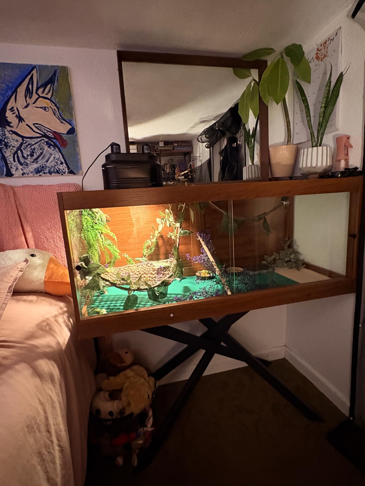 PAKASEPT 80 Gallons Bearded Dragon Tank with Leg Stand,Tempered Glass Reptile Enclosure with Metal Mesh Top,Snake/Lizard Tank for Chameleon,Tortoise,Hecko,Brown customer photo 1